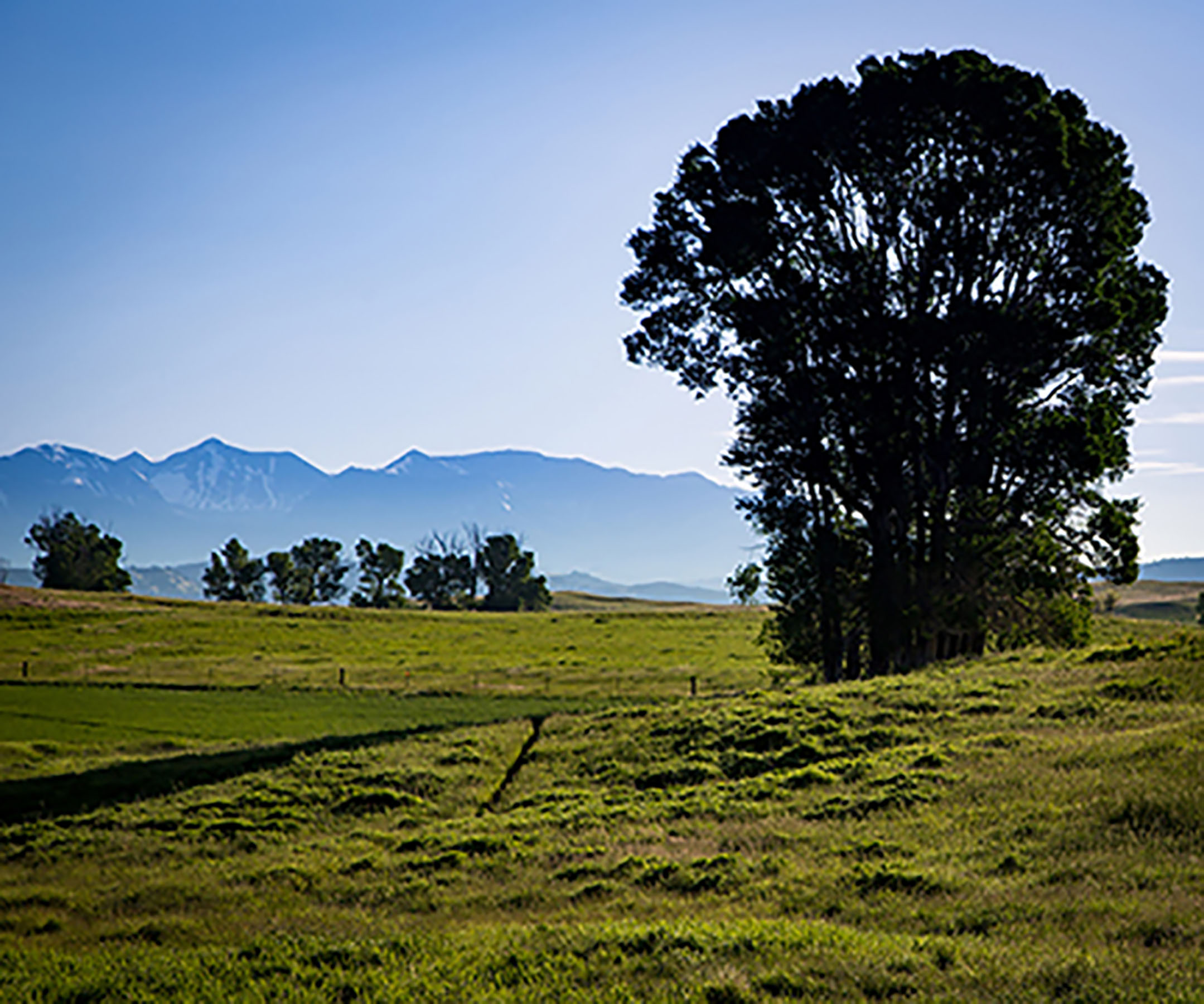 Fiddle Creek property picture 5 of 25