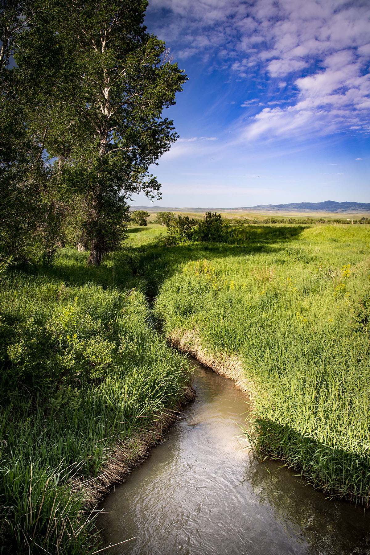 Fiddle Creek property picture 7 of 25