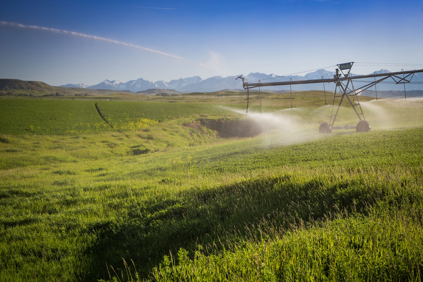 Fiddle Creek property picture 8 of 25