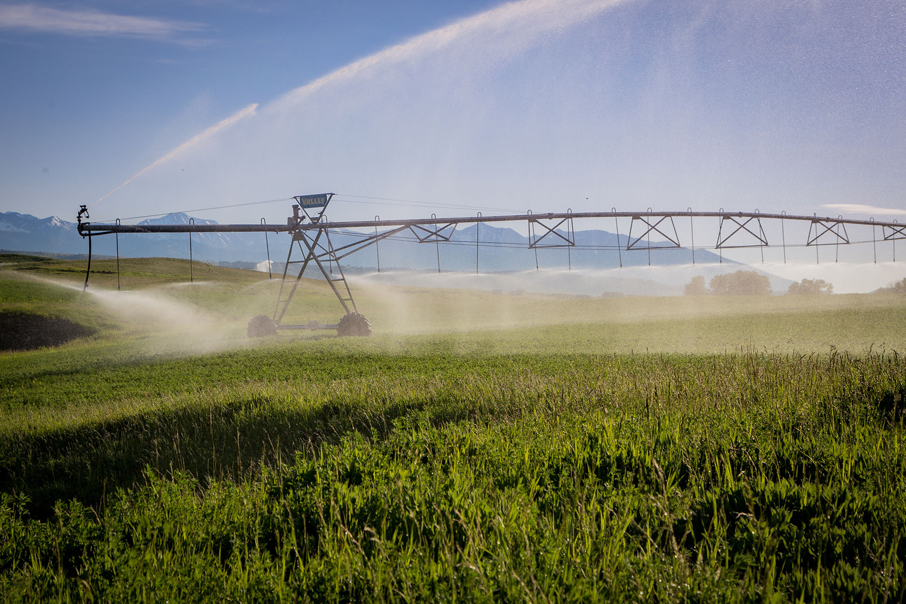 Fiddle Creek property picture 3 of 25