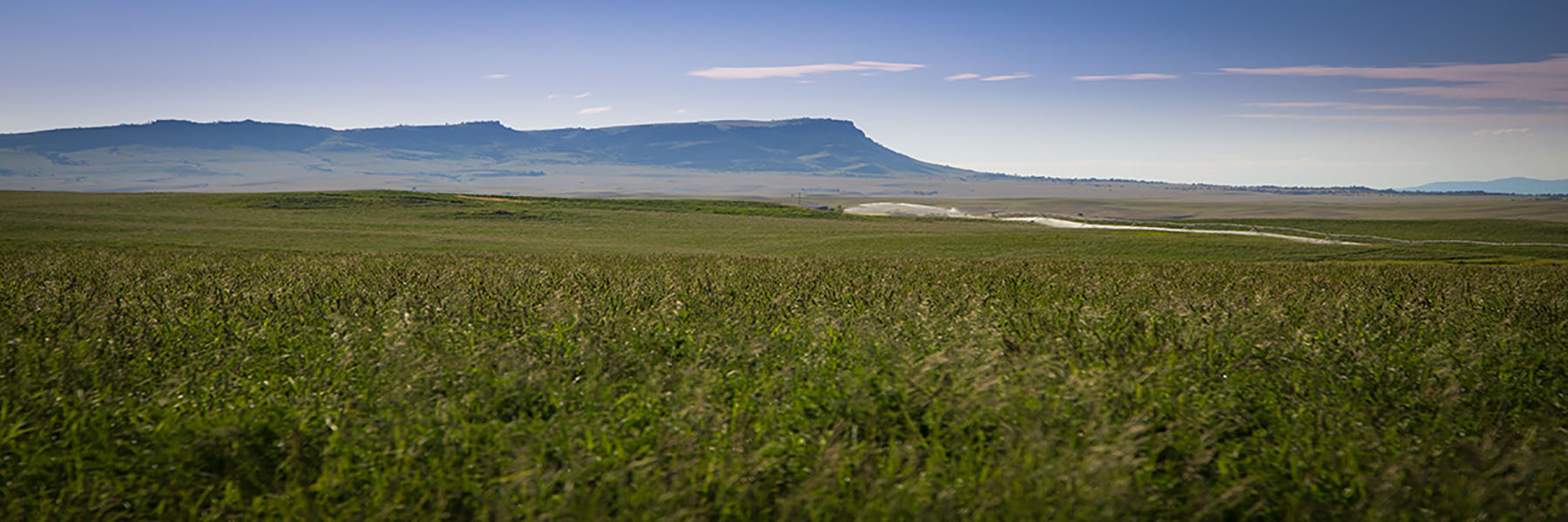 Fiddle Creek property picture 23 of 25