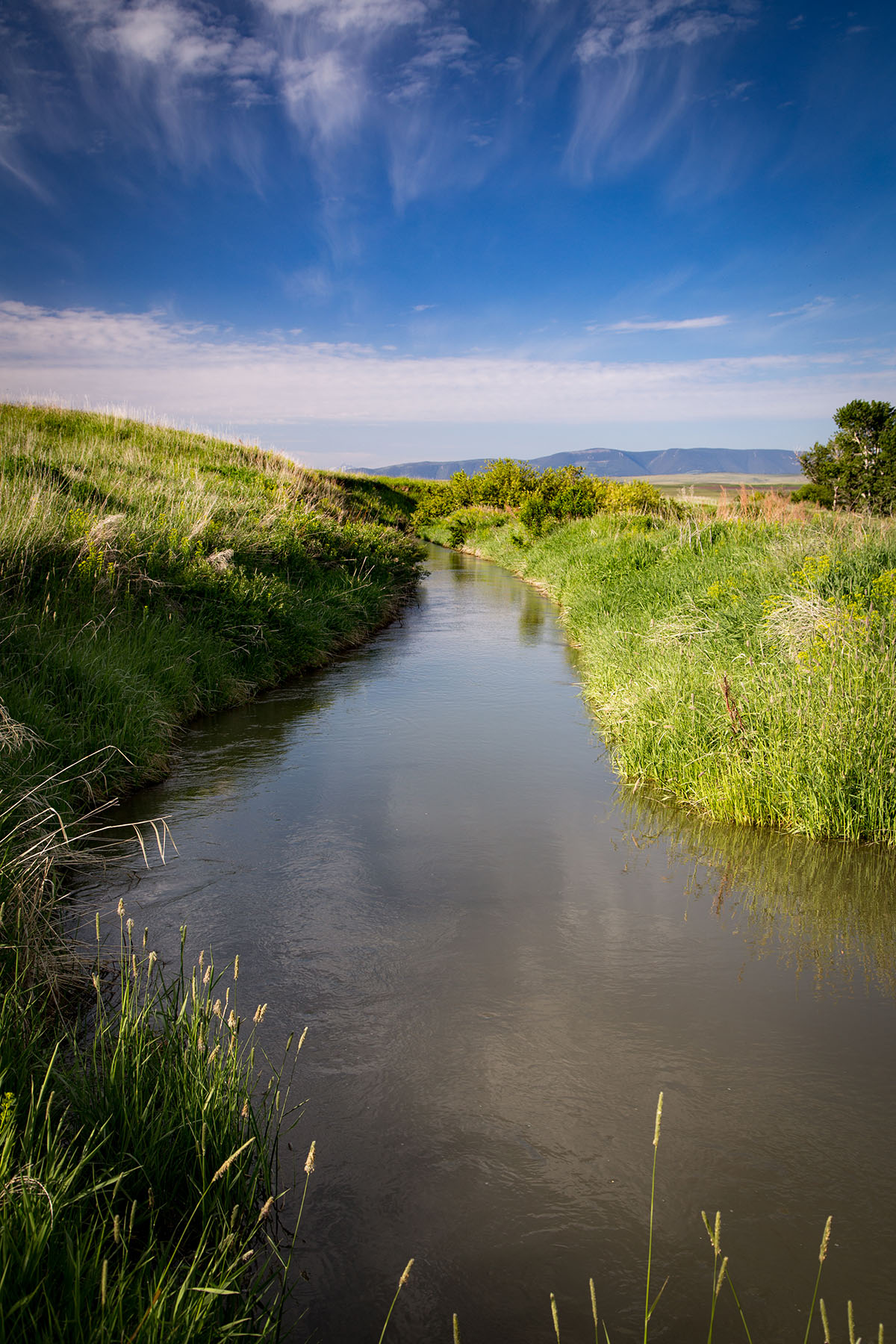 Fiddle Creek property picture 9 of 25