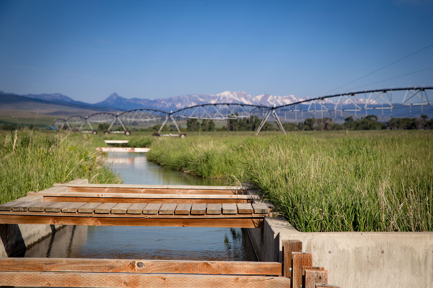 Fiddle Creek property picture 12 of 25