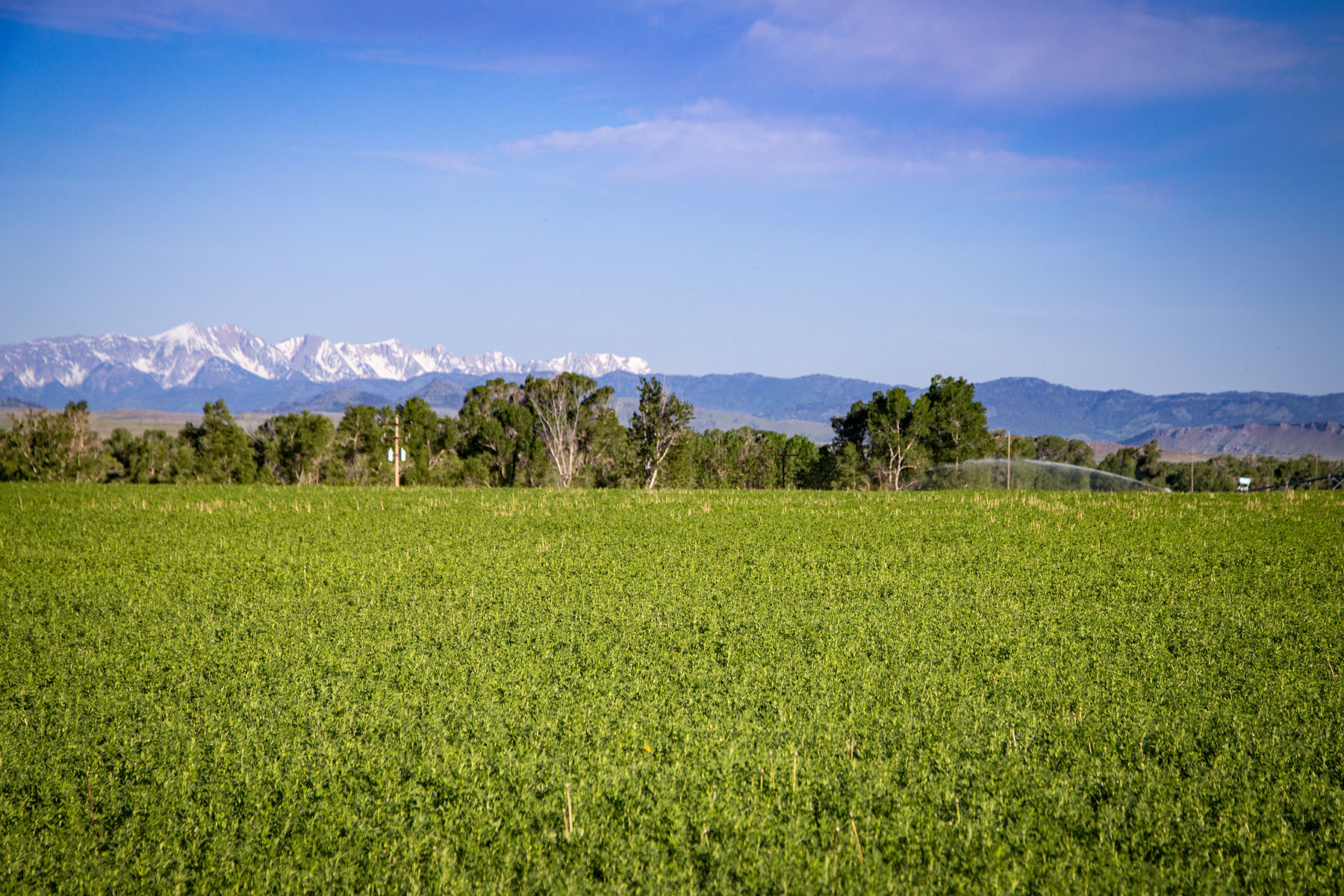 Fiddle Creek property picture 2 of 25