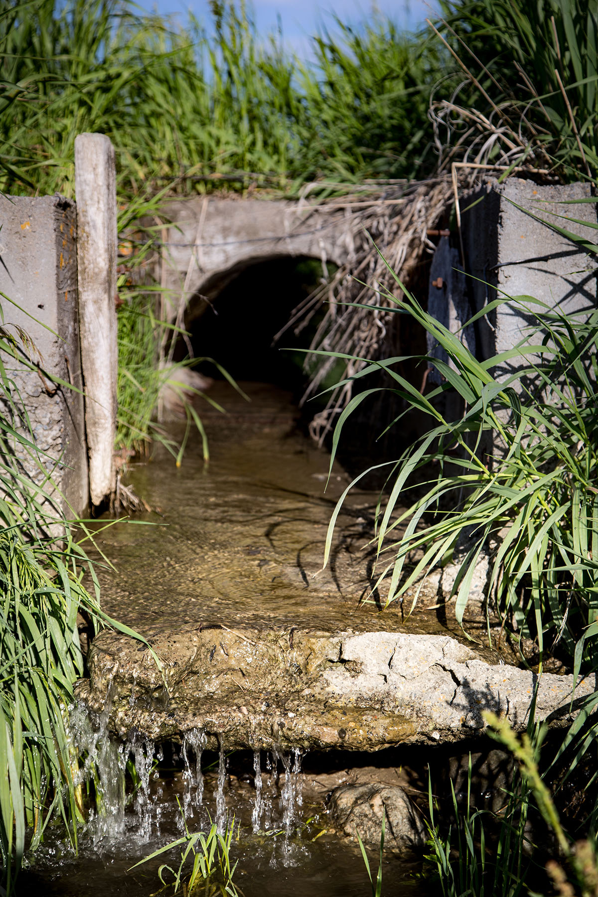 Fiddle Creek property picture 25 of 25