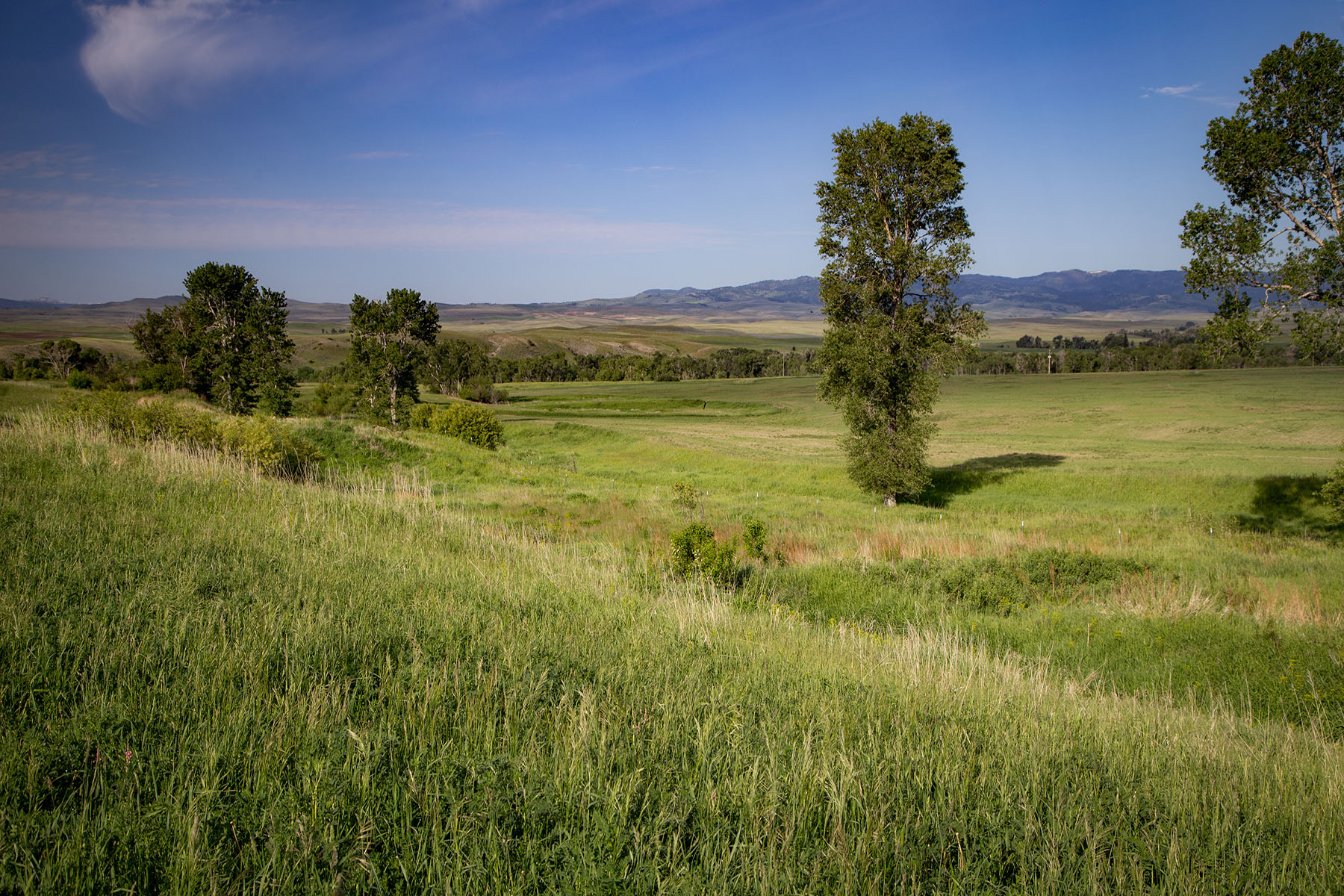 Fiddle Creek property picture 14 of 25