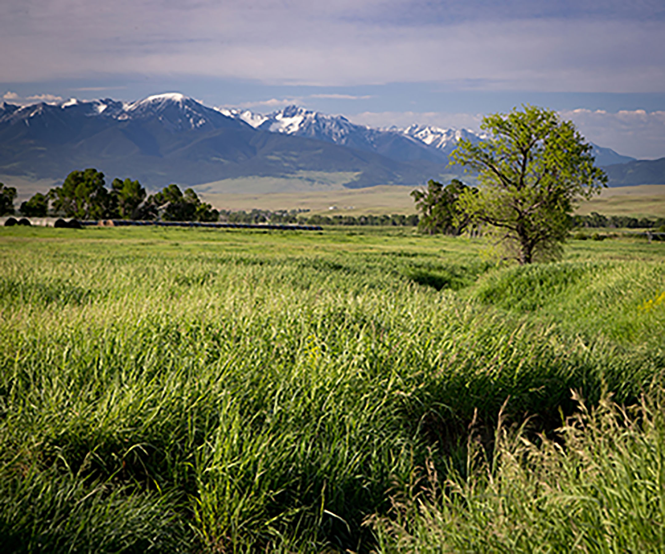 Fiddle Creek property picture 13 of 25
