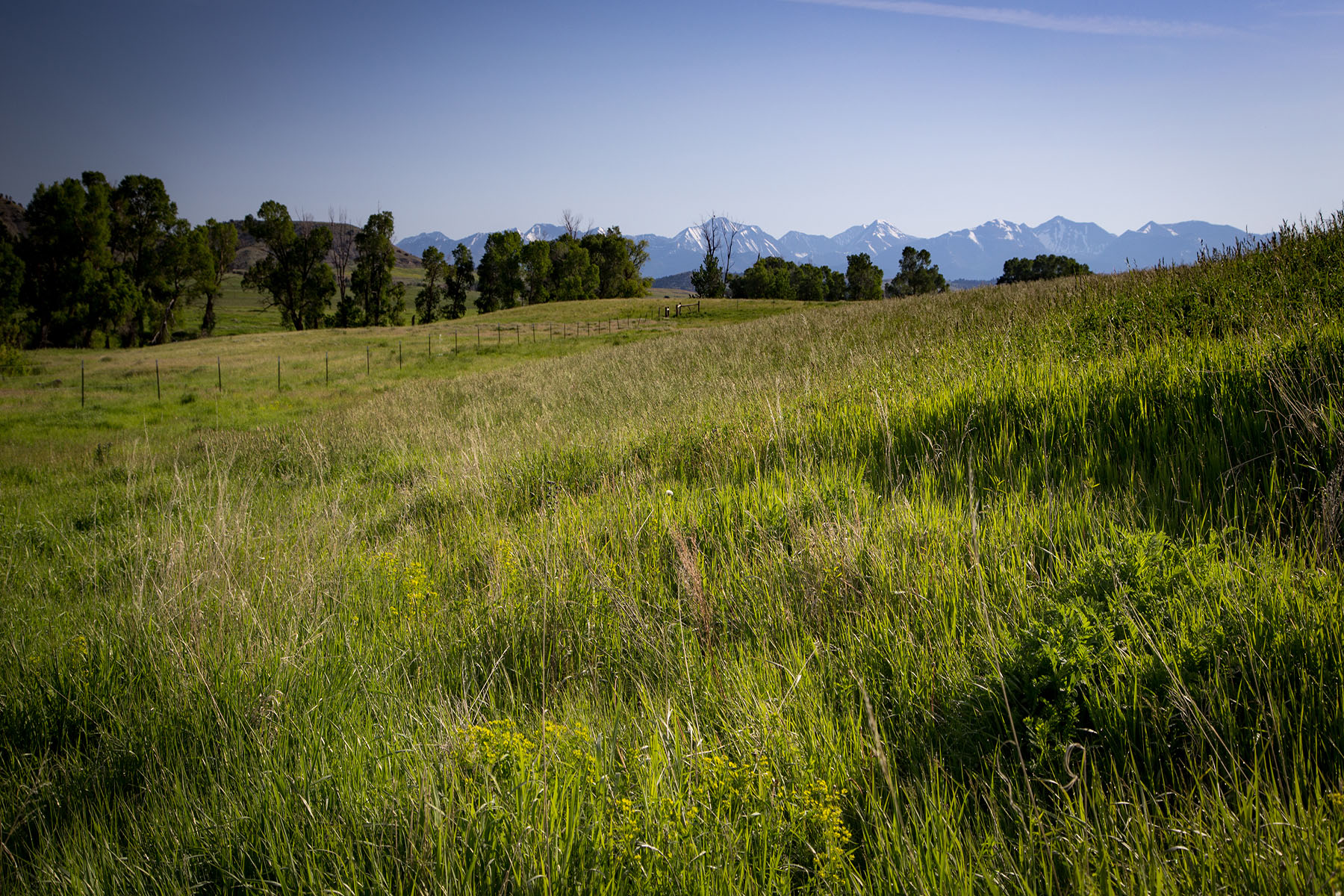 Fiddle Creek property picture 20 of 25
