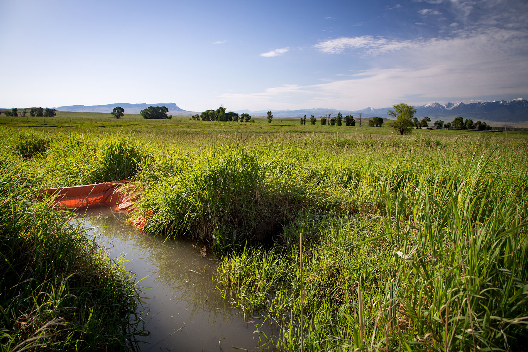 Fiddle Creek property picture 17 of 25