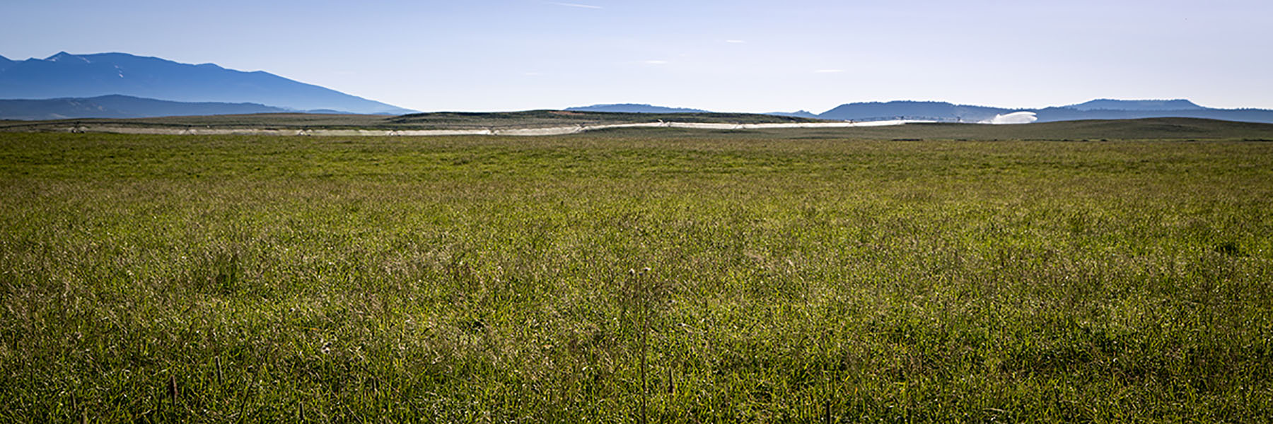 Fiddle Creek property picture 10 of 25