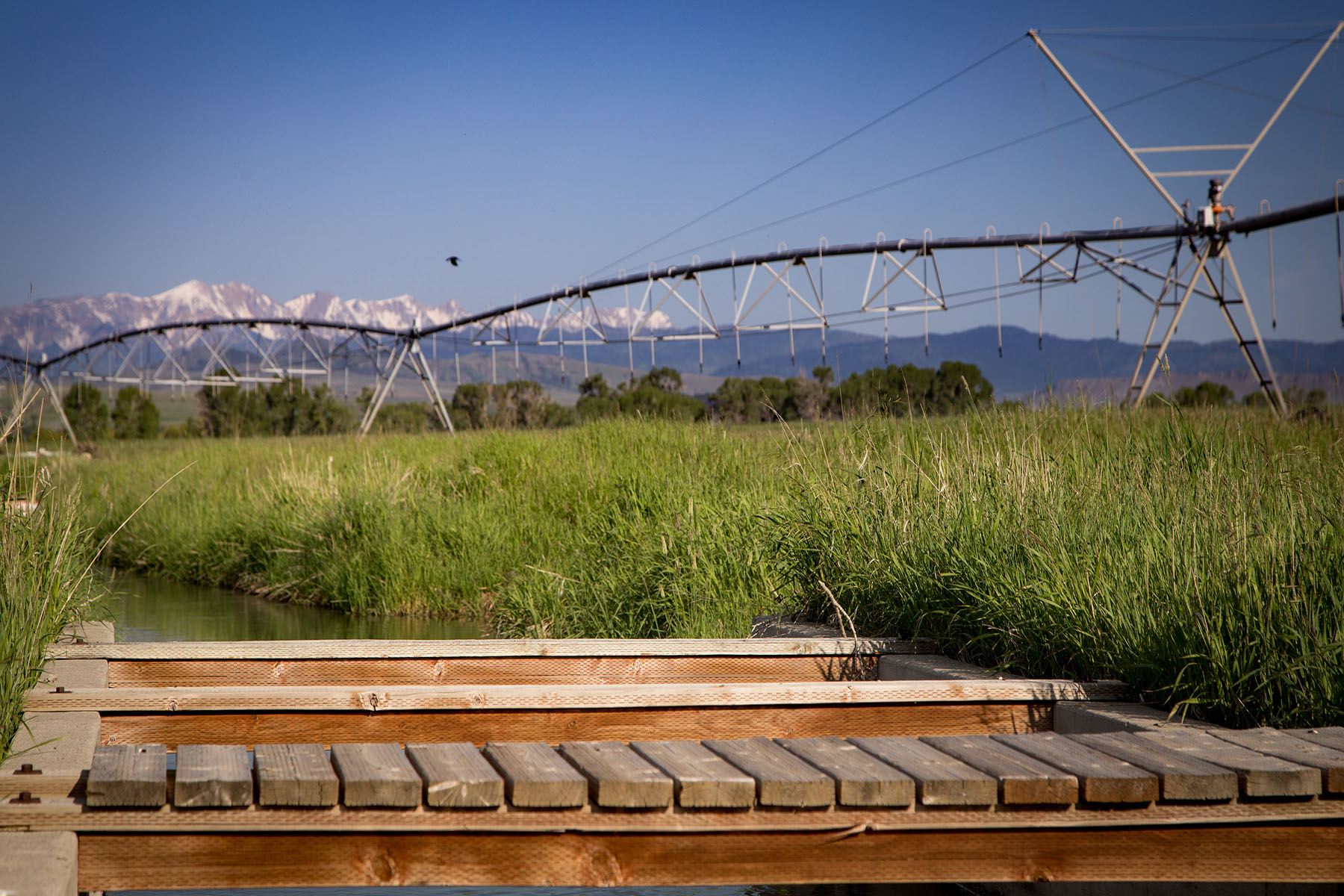 Fiddle Creek property picture 18 of 25