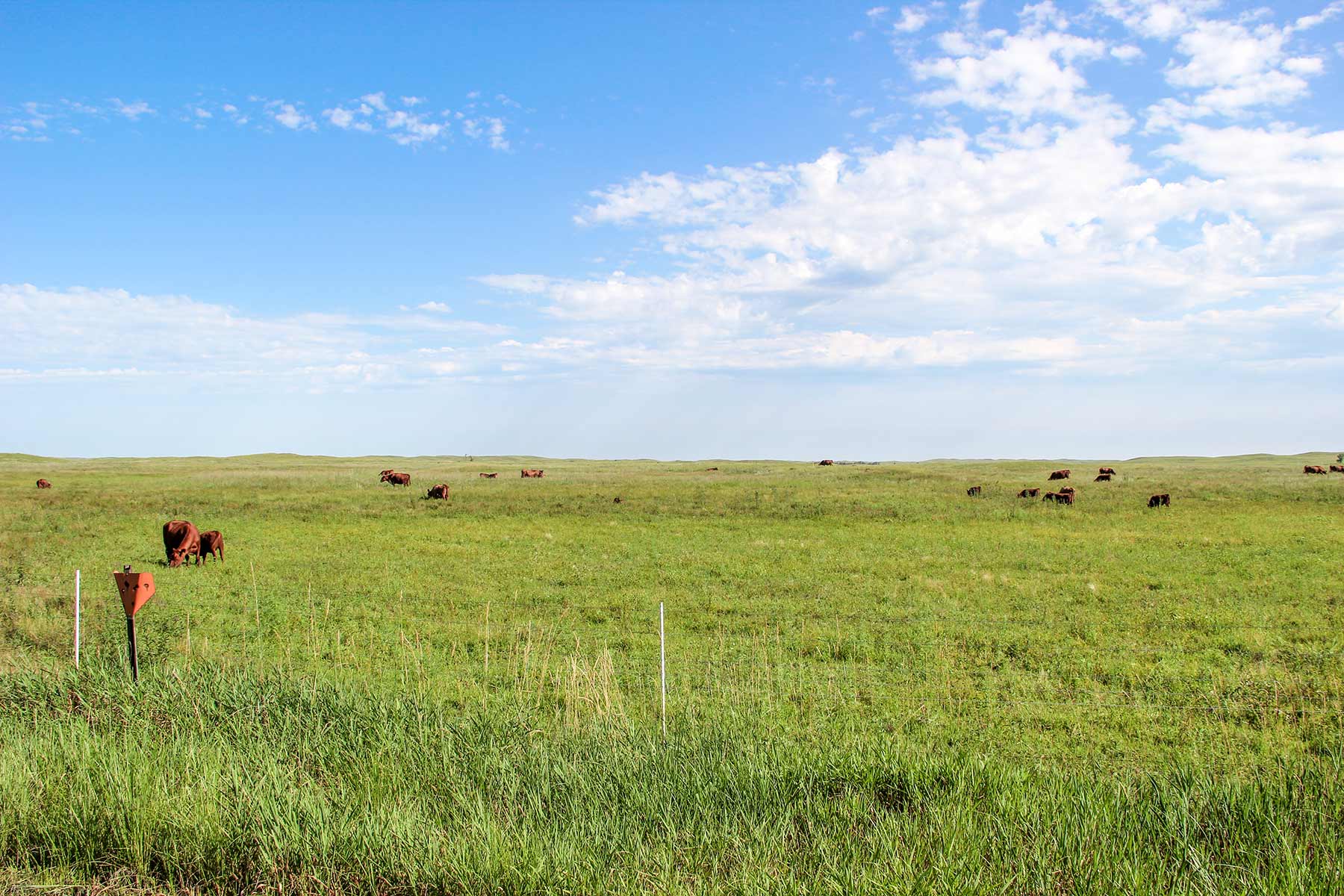 Frost Ranch property picture 2 of 28