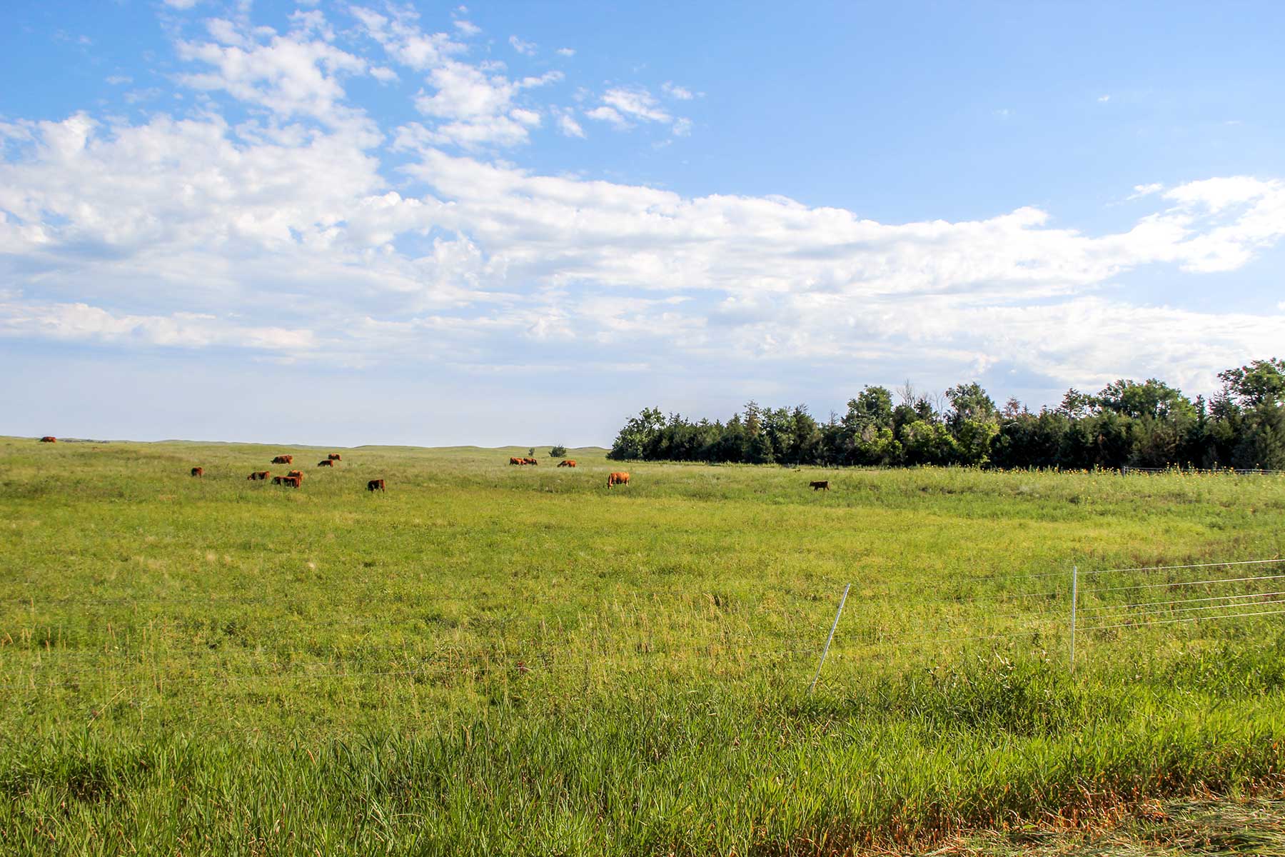 Frost Ranch property picture 6 of 28