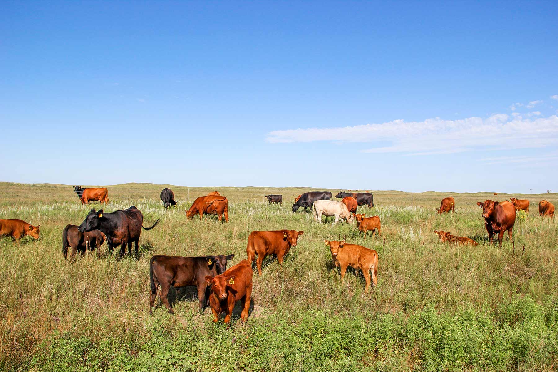 Frost Ranch property picture 10 of 28