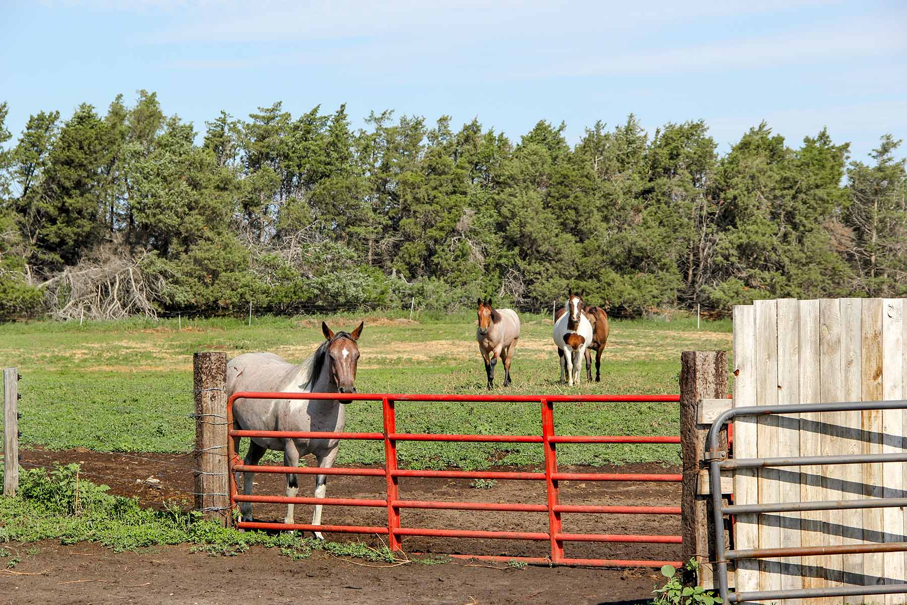Frost Ranch property picture 14 of 28