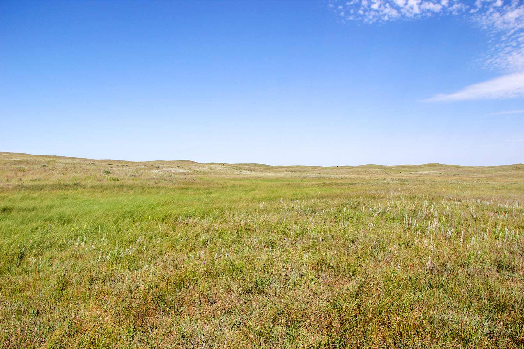 Frost Ranch property picture 8 of 28