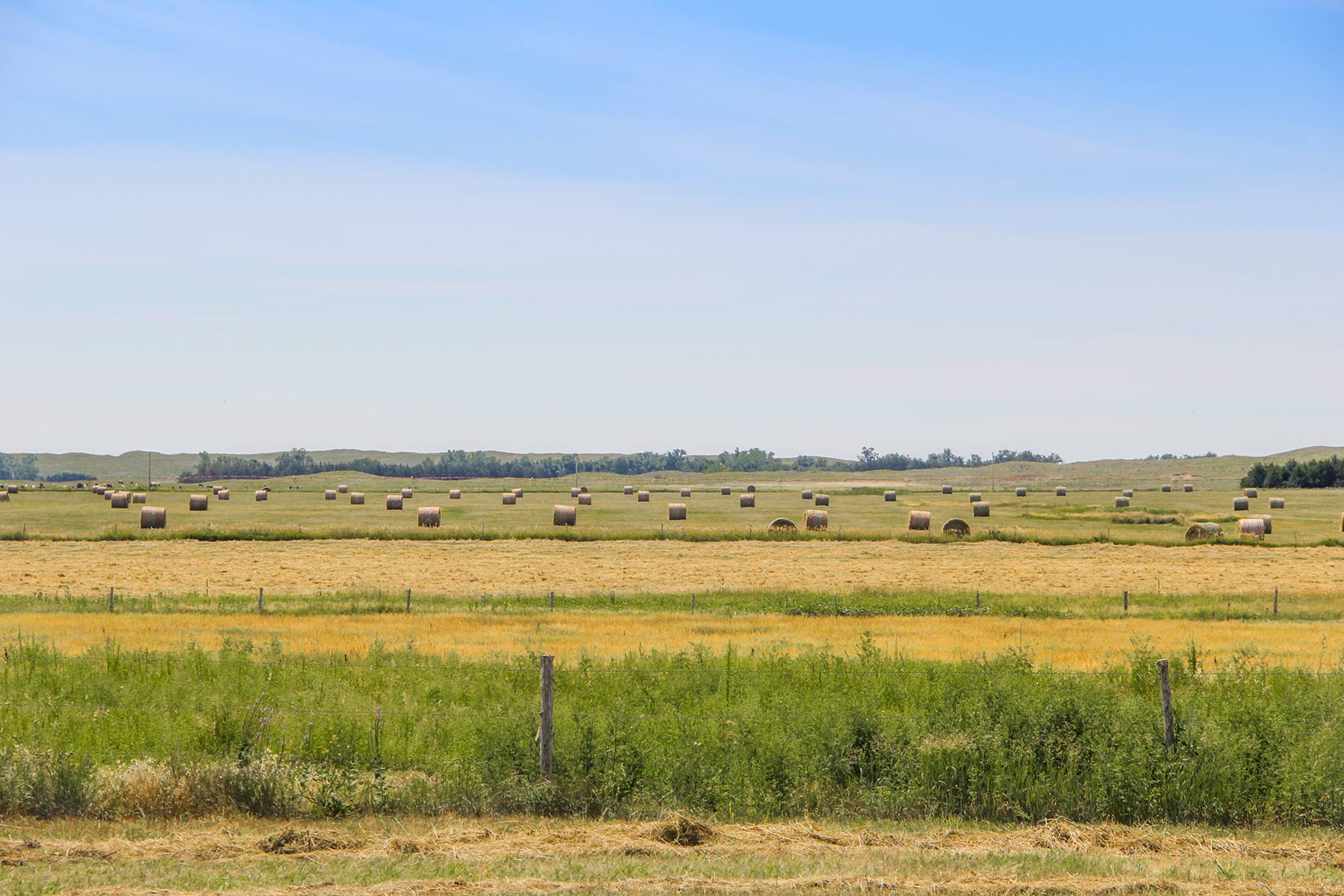 Frost Ranch property picture 9 of 28