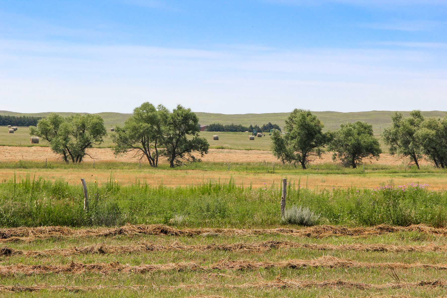 Frost Ranch property picture 15 of 28