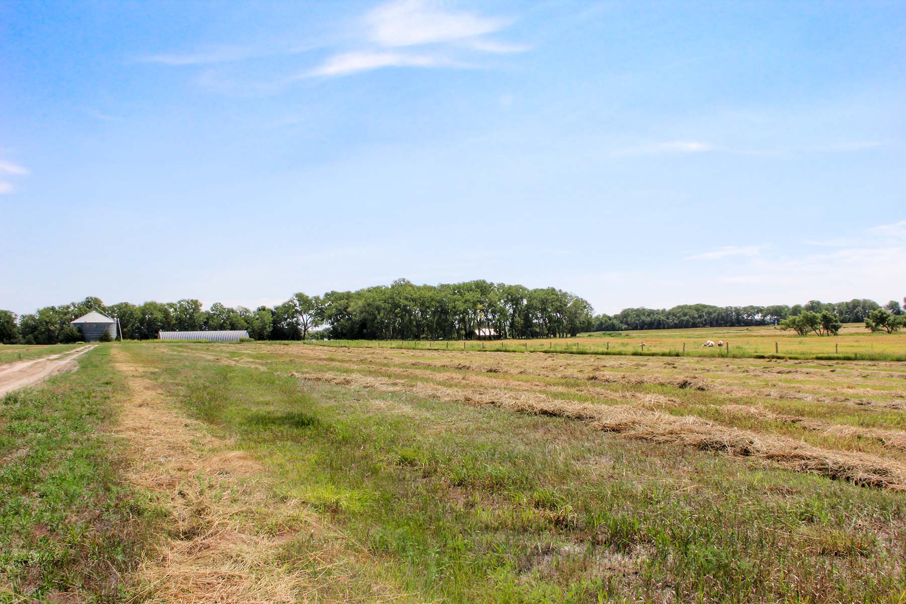 Frost Ranch property picture 16 of 28