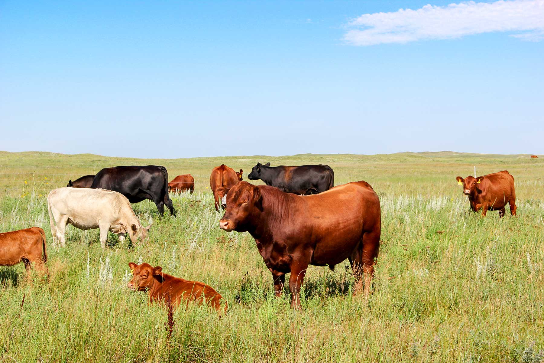 Frost Ranch property picture 19 of 28