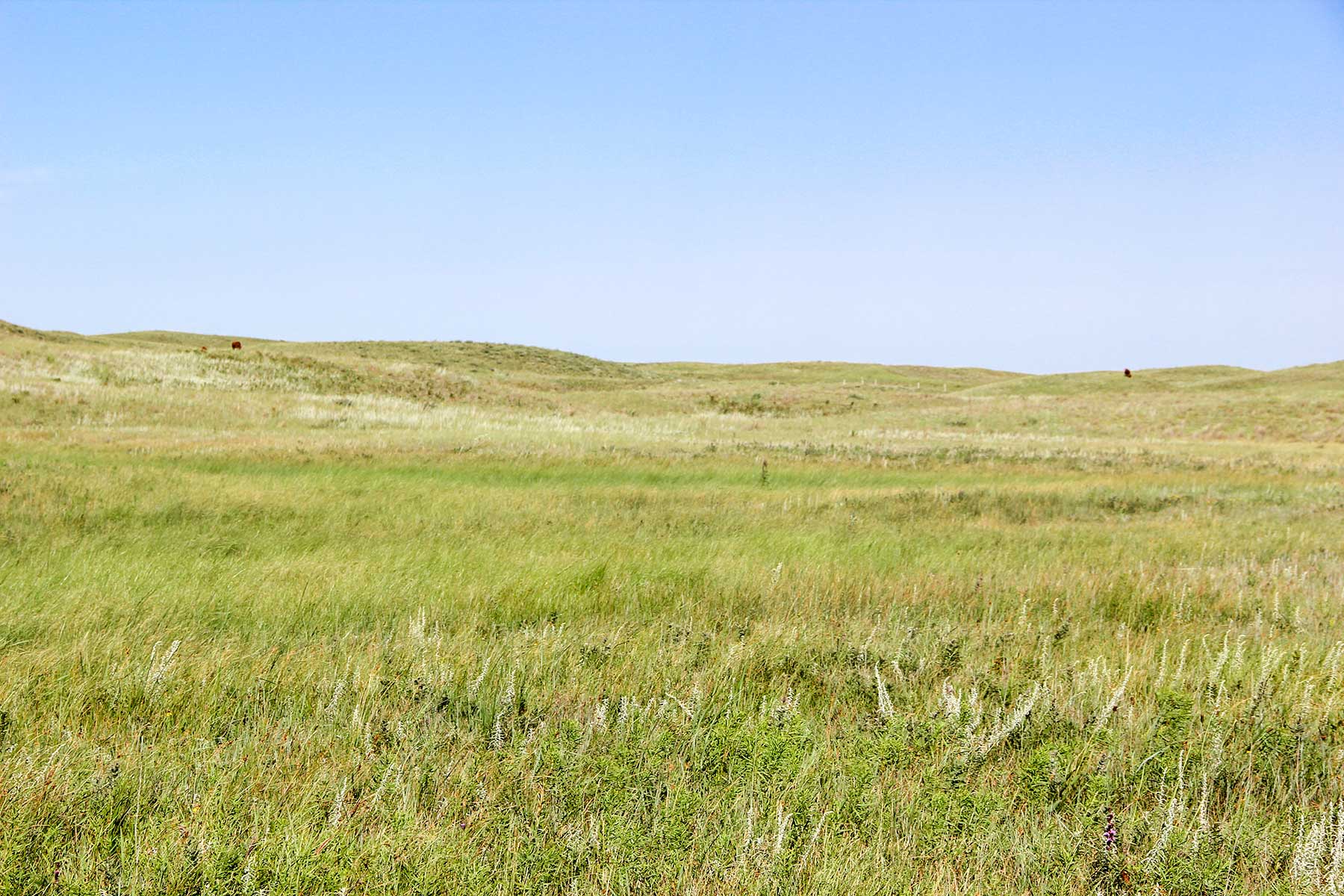 Frost Ranch property picture 22 of 28