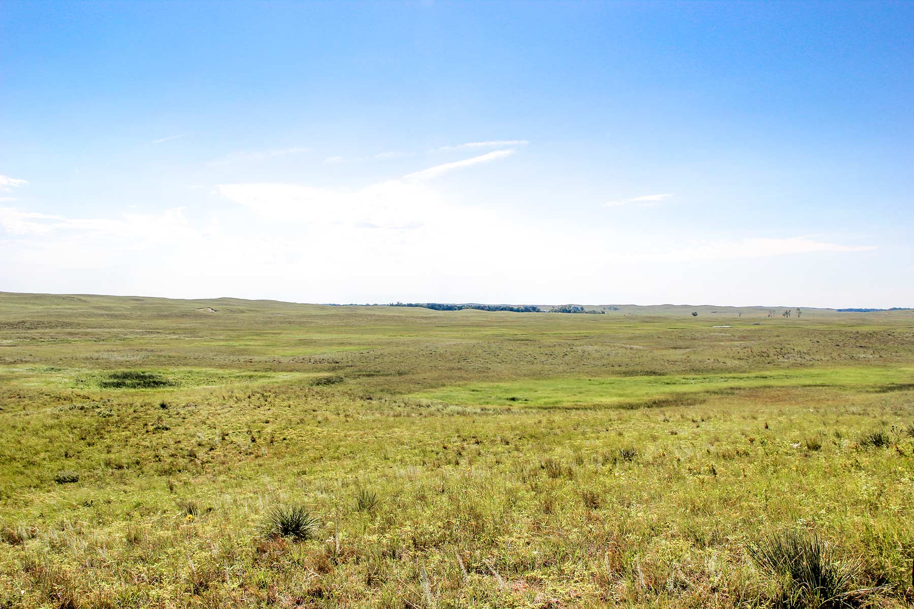 Frost Ranch property picture 23 of 28