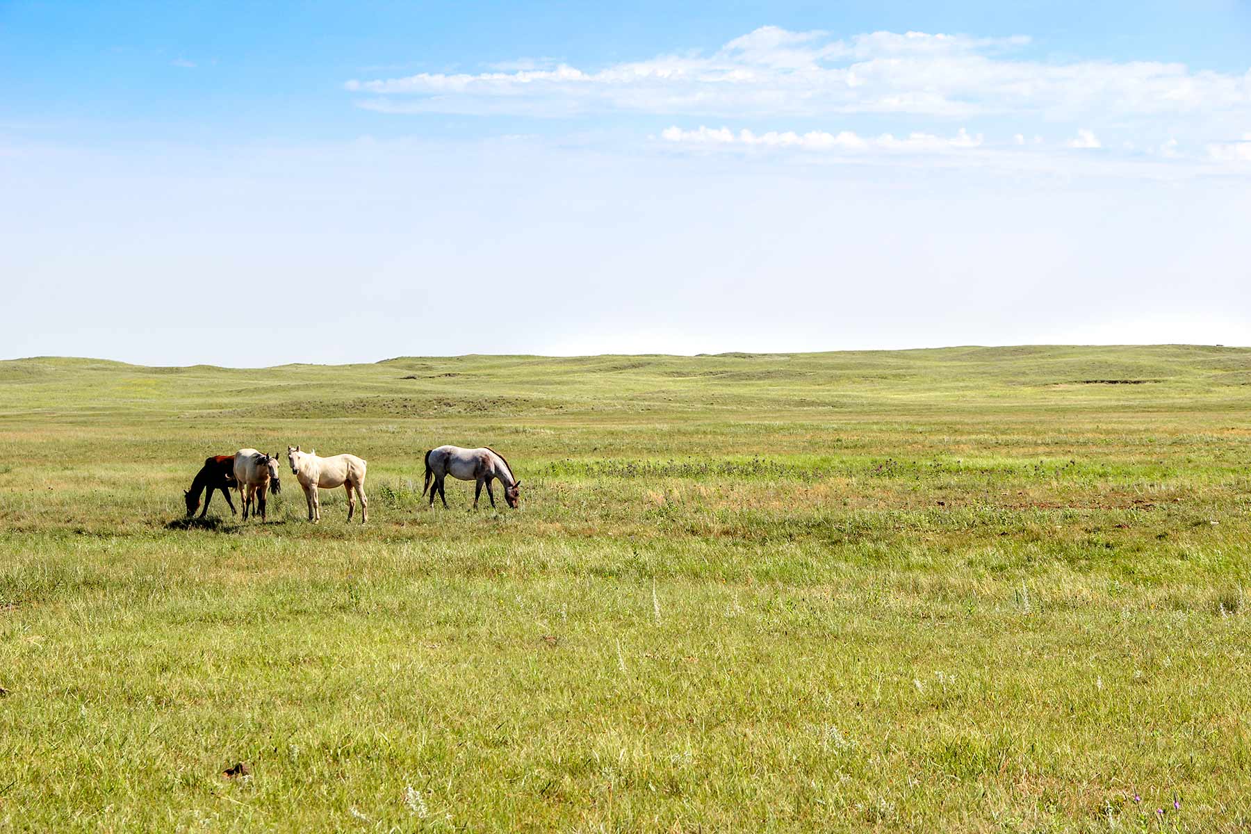 Frost Ranch property picture 24 of 28