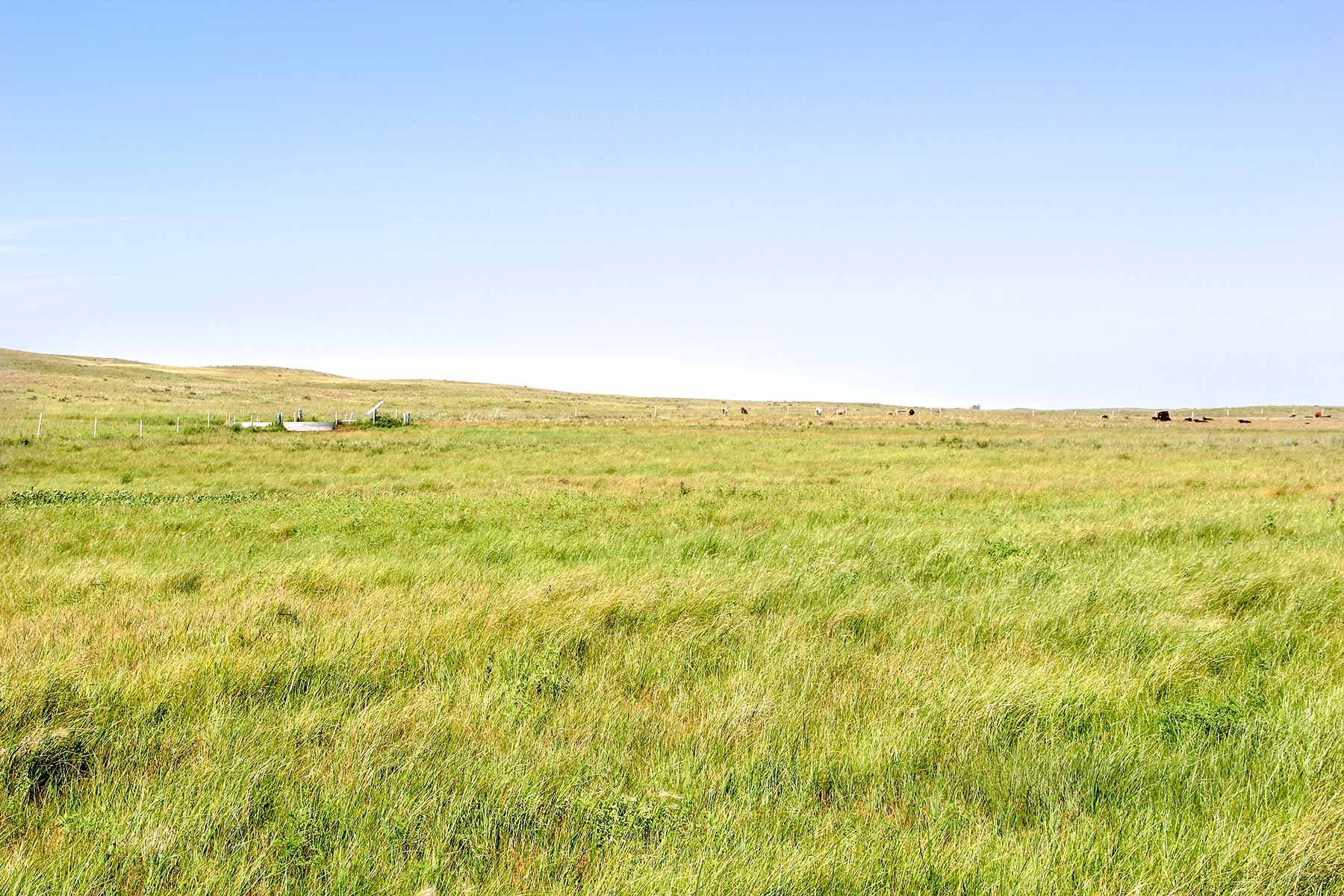 Frost Ranch property picture 25 of 28