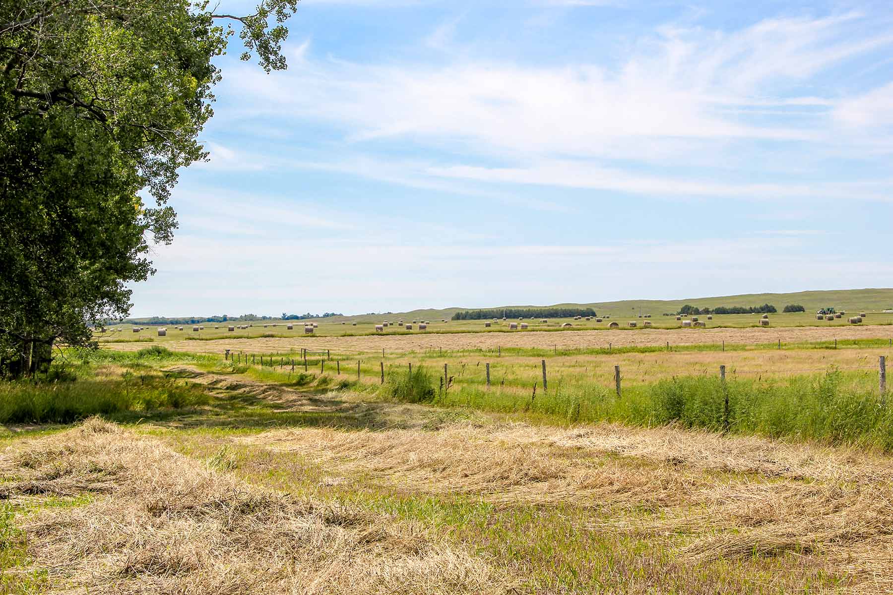 Frost Ranch property picture 27 of 28