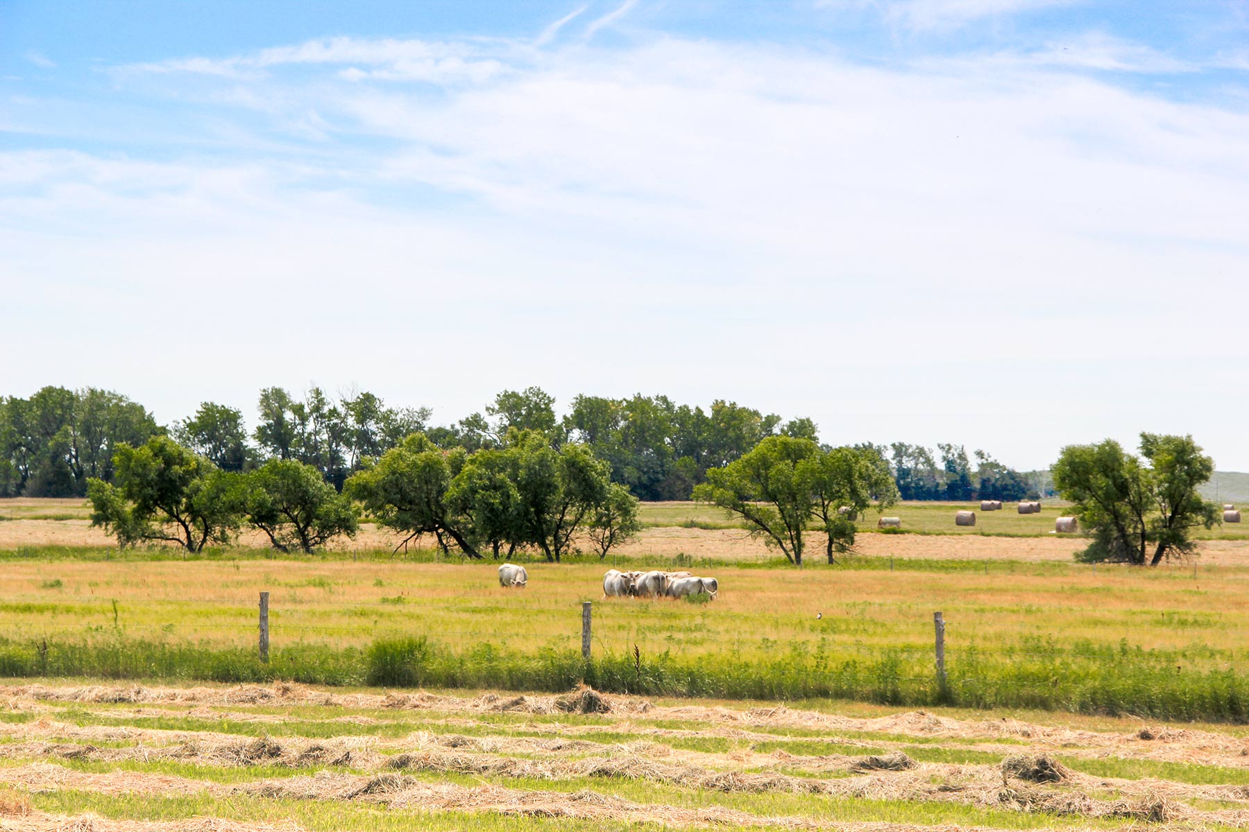 Frost Ranch property picture 28 of 28