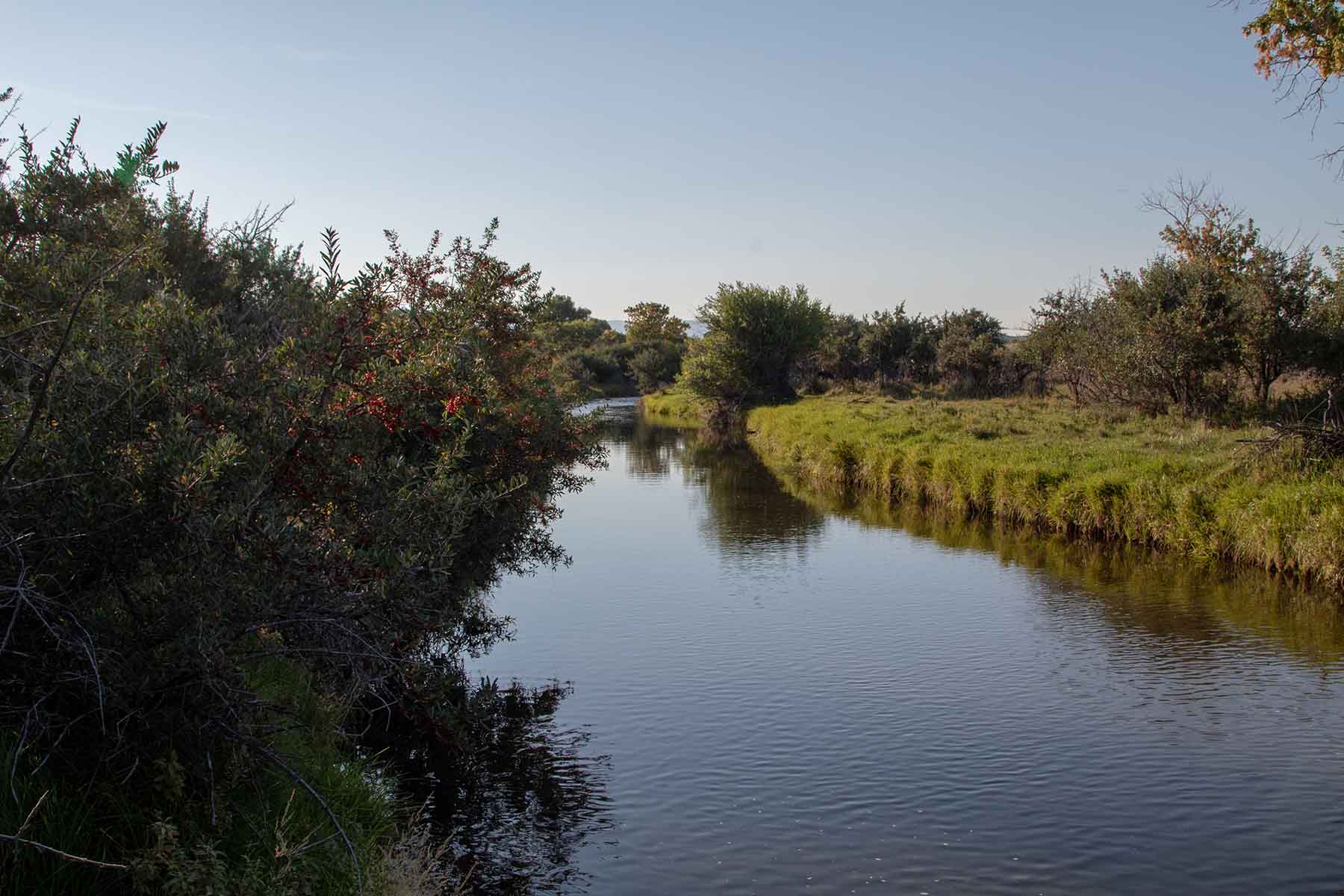 Rock Creek 222 property picture 22 of 24