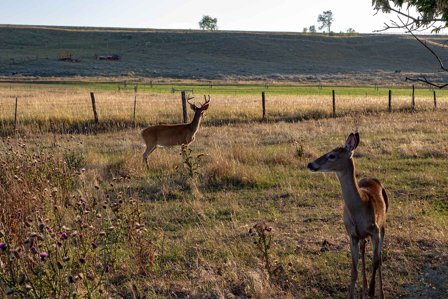 Rock Creek 222 property picture 5 of 24