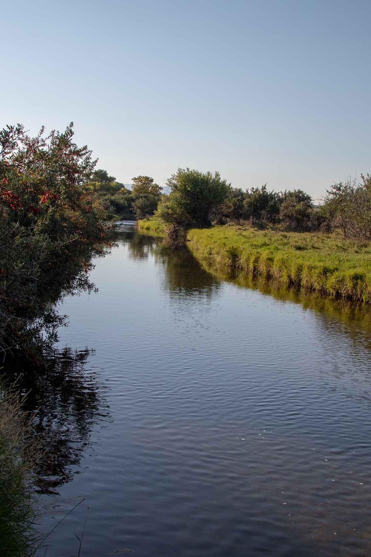 Rock Creek 222 property picture 18 of 24