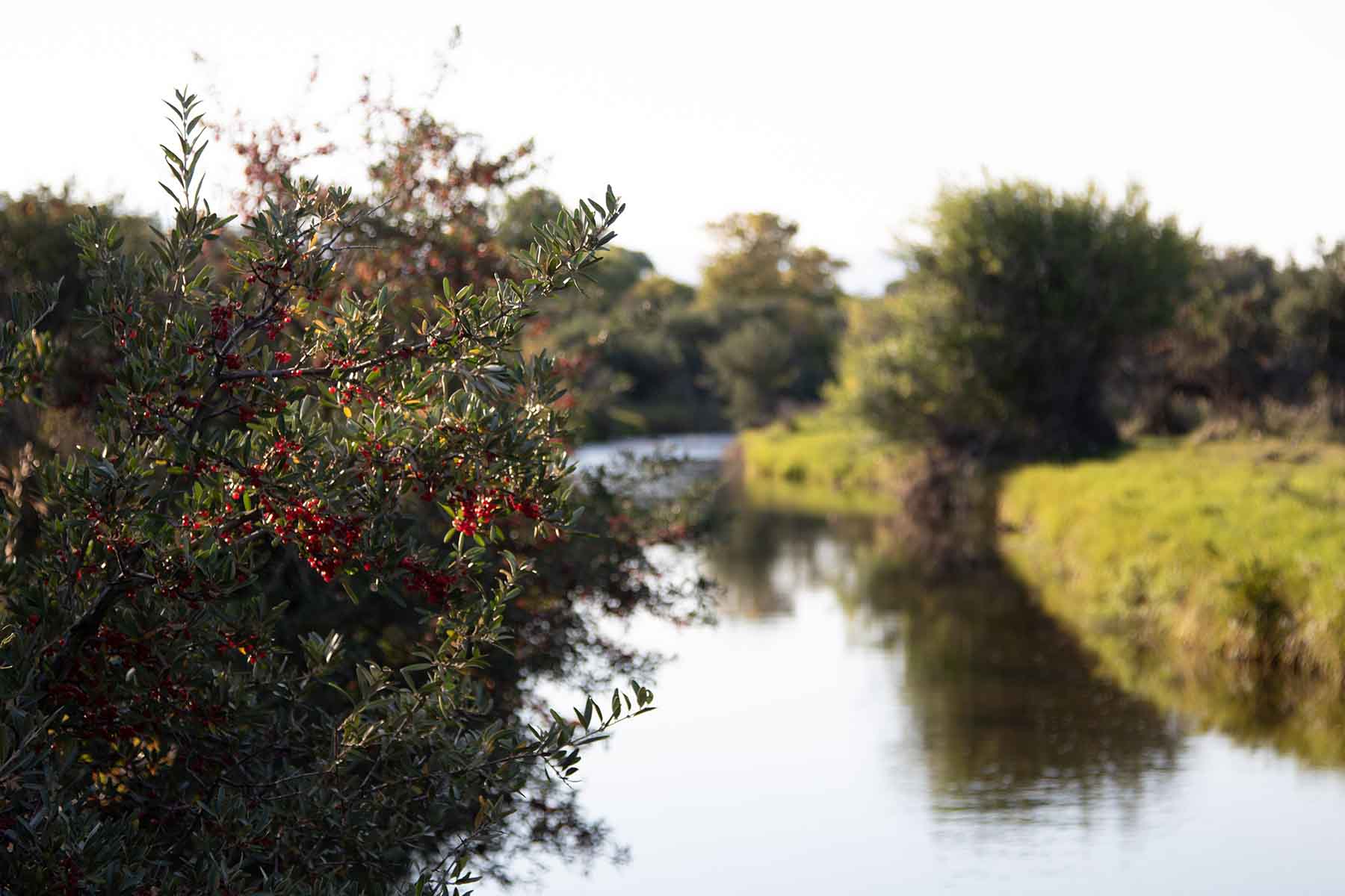 Rock Creek 222 property picture 16 of 24