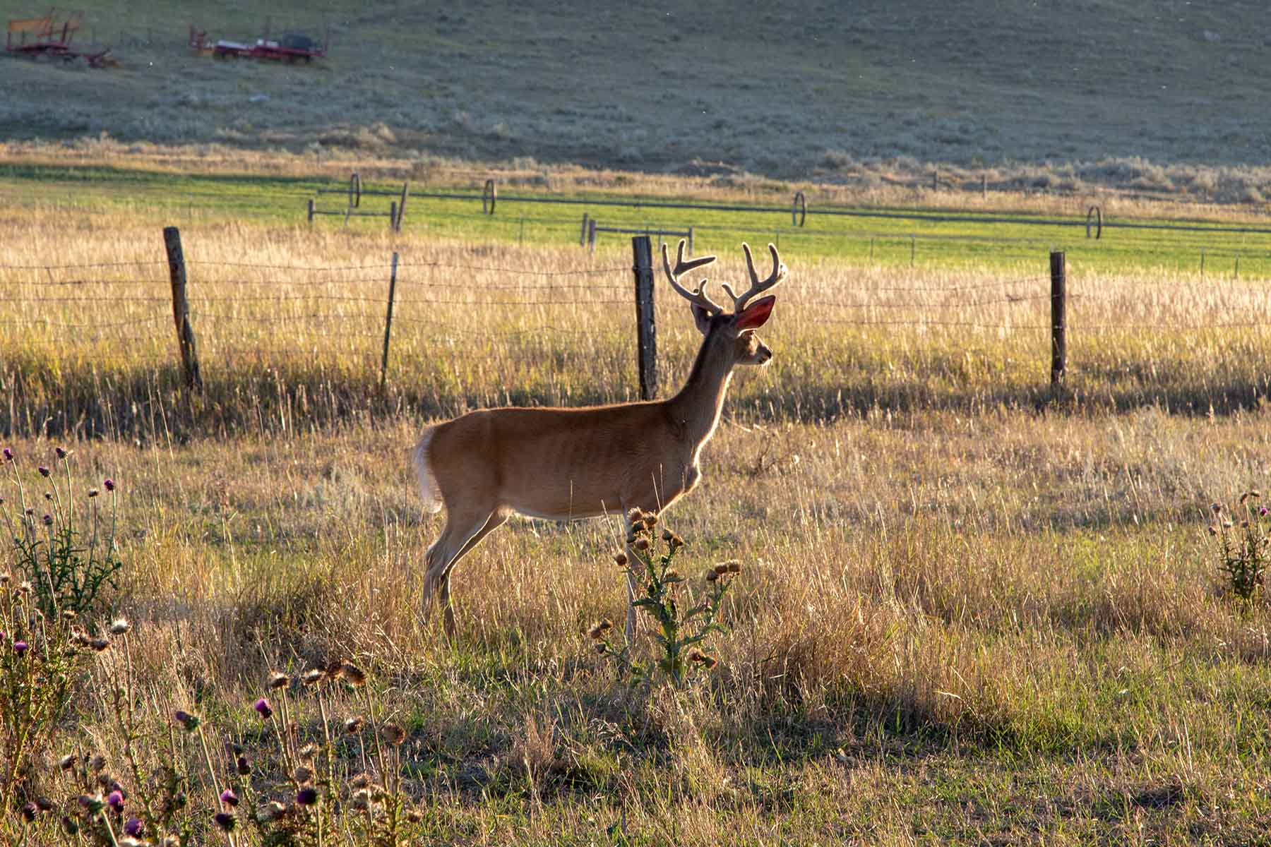 Rock Creek 222 property picture 9 of 24