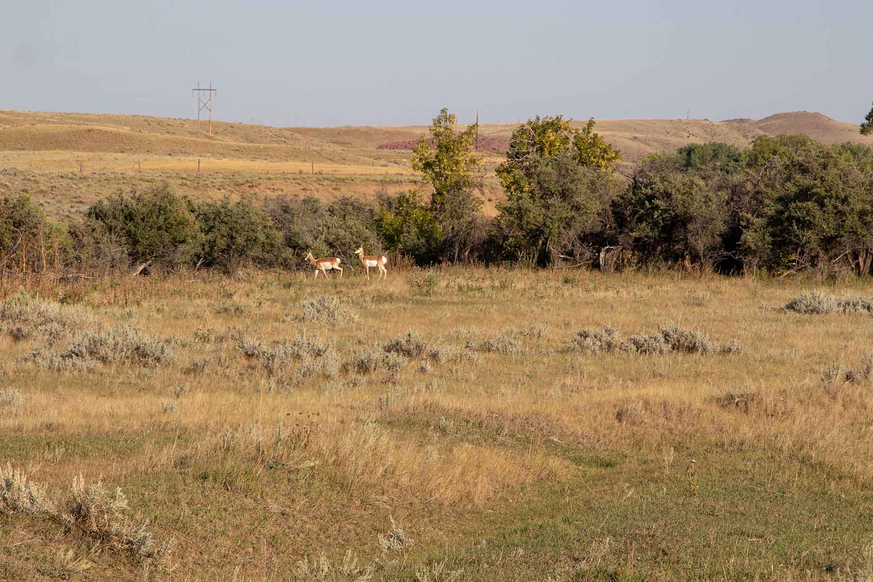 Rock Creek 222 property picture 15 of 24