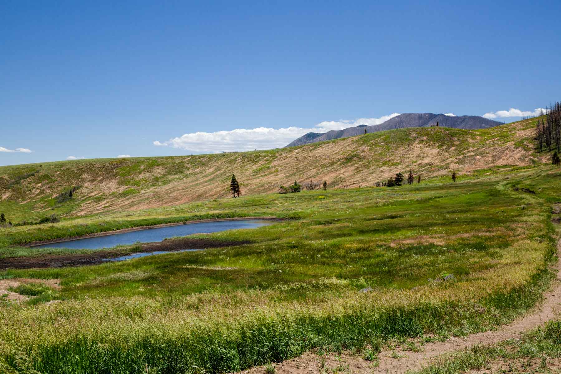 Moonshine Ranch Hall and Hall