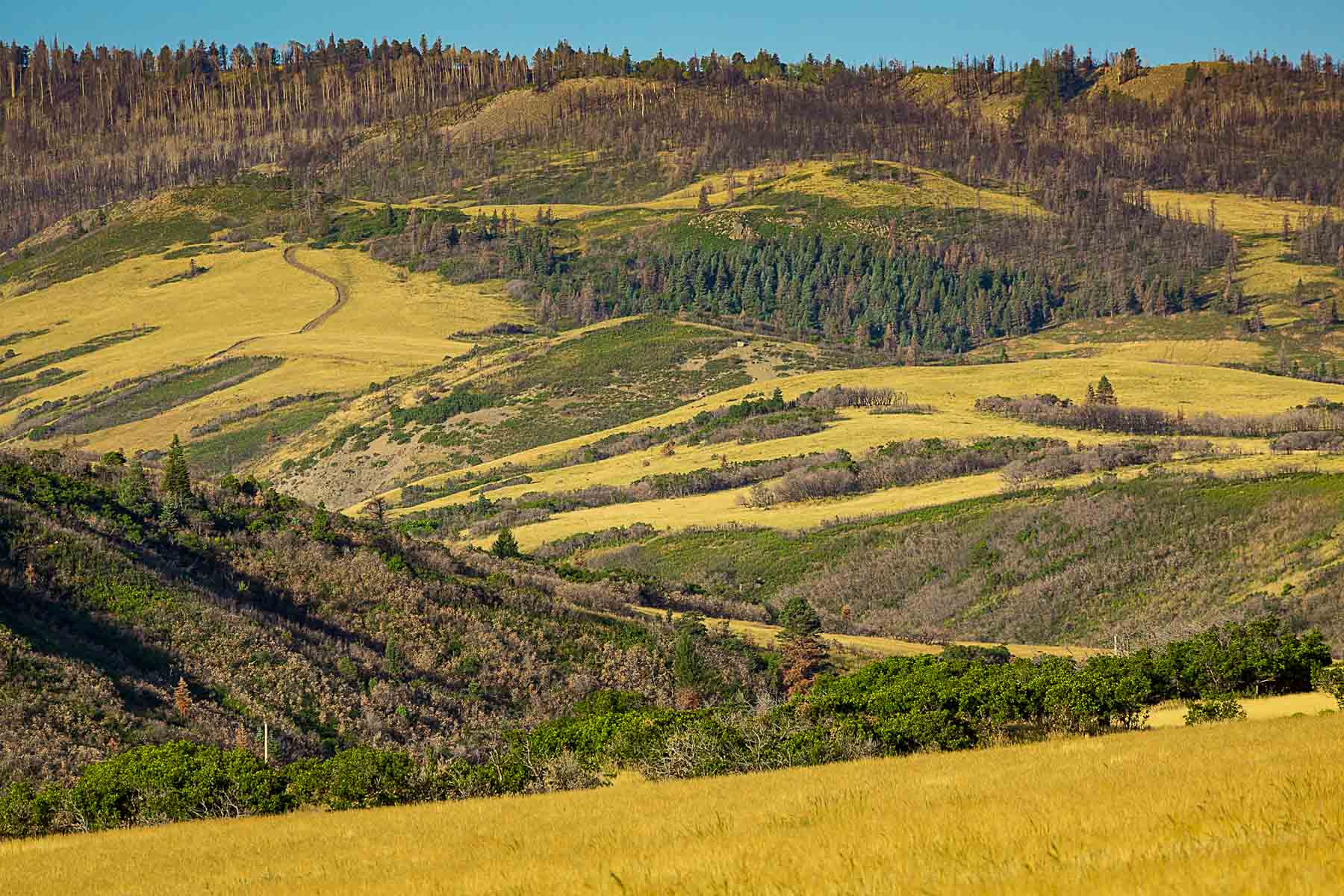 Moonshine Ranch Hall and Hall