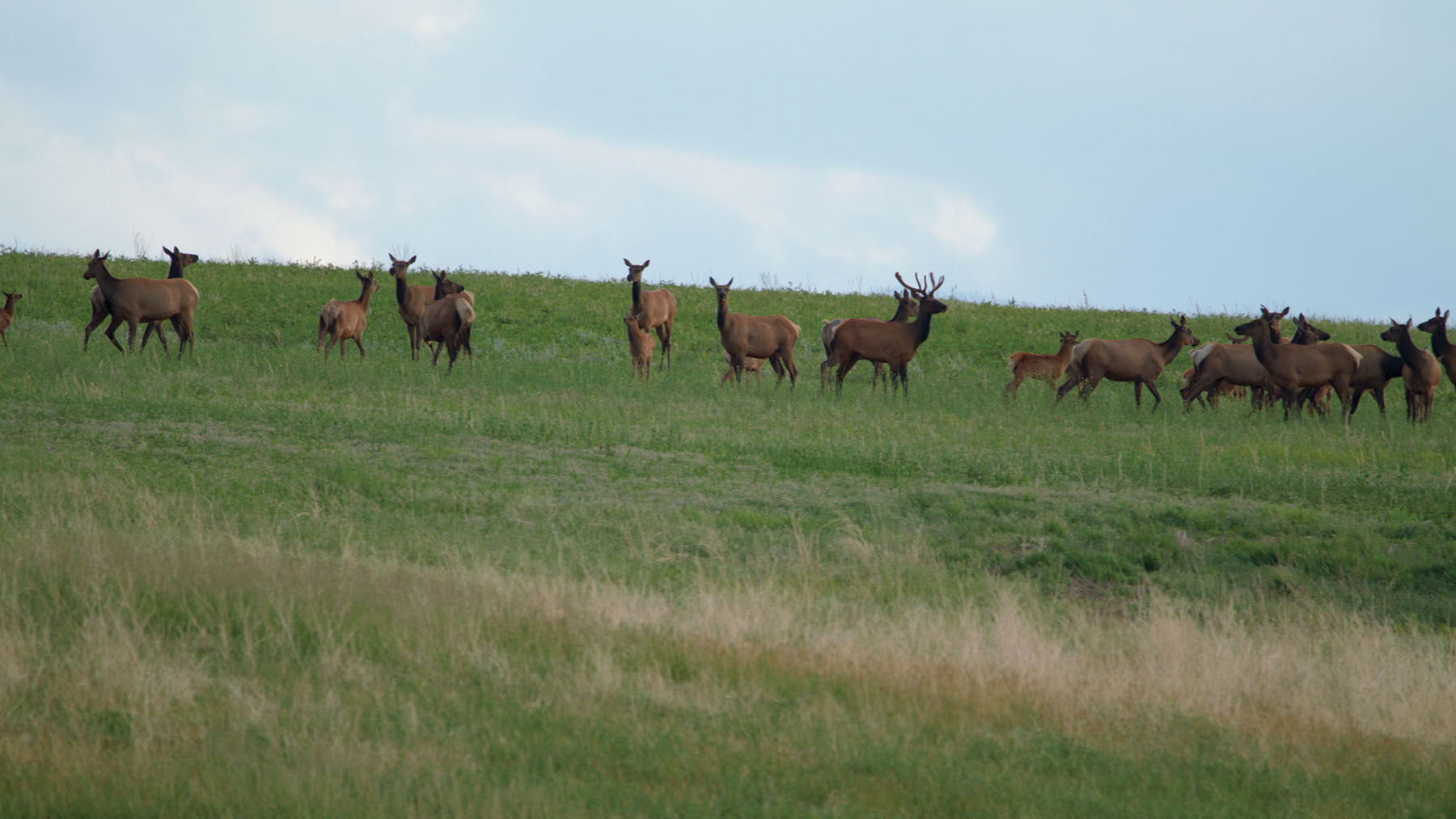 Crazy Mountains View Ranch property picture 5 of 23
