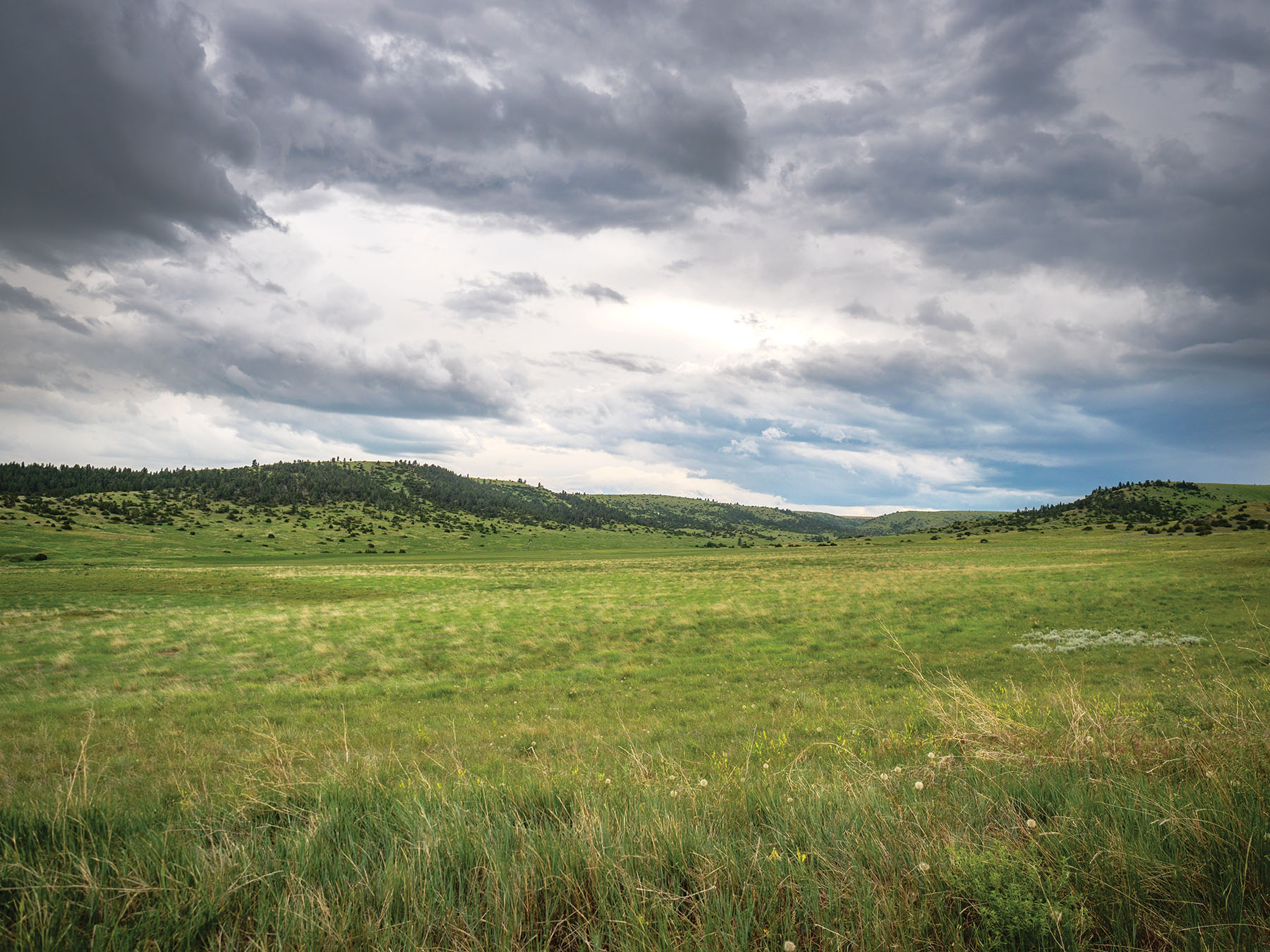 Crazy Mountains View Ranch property picture 22 of 23