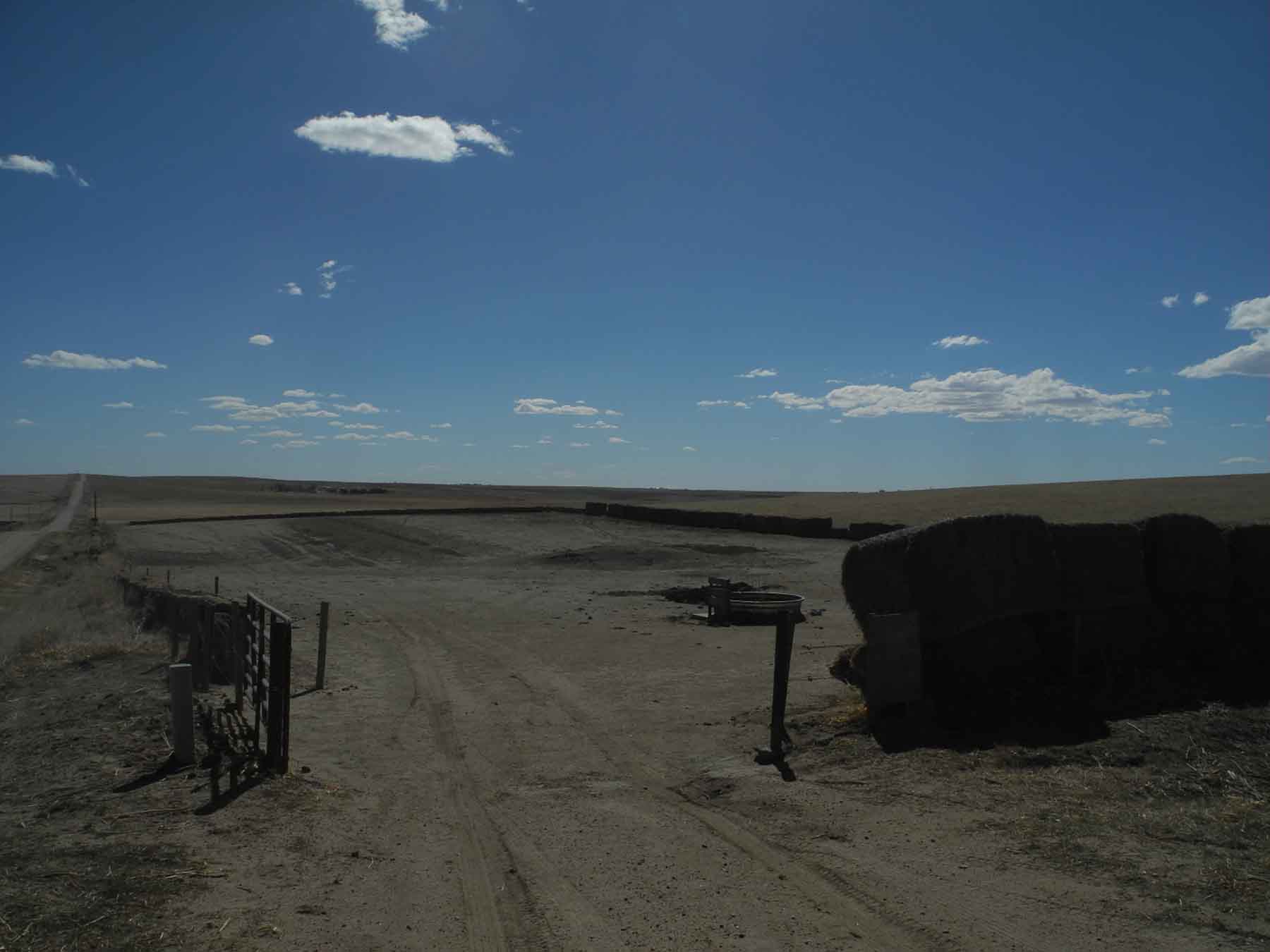 Eastern Colorado Farm & Ranch property picture 12 of 21