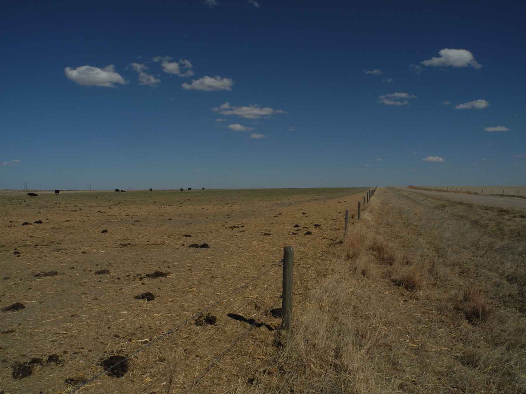 Eastern Colorado Farm & Ranch property picture 16 of 21