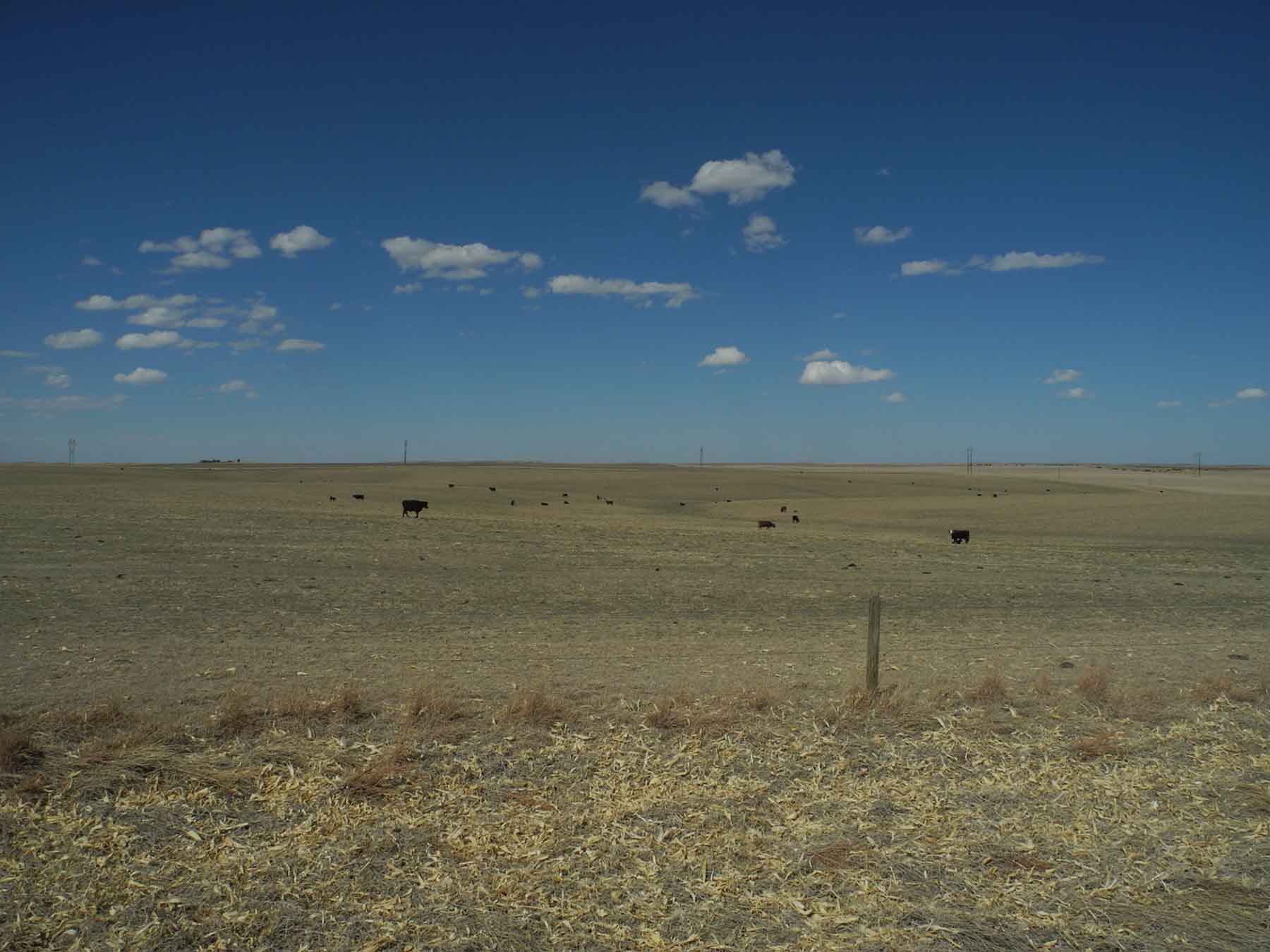 Eastern Colorado Farm & Ranch property picture 13 of 21