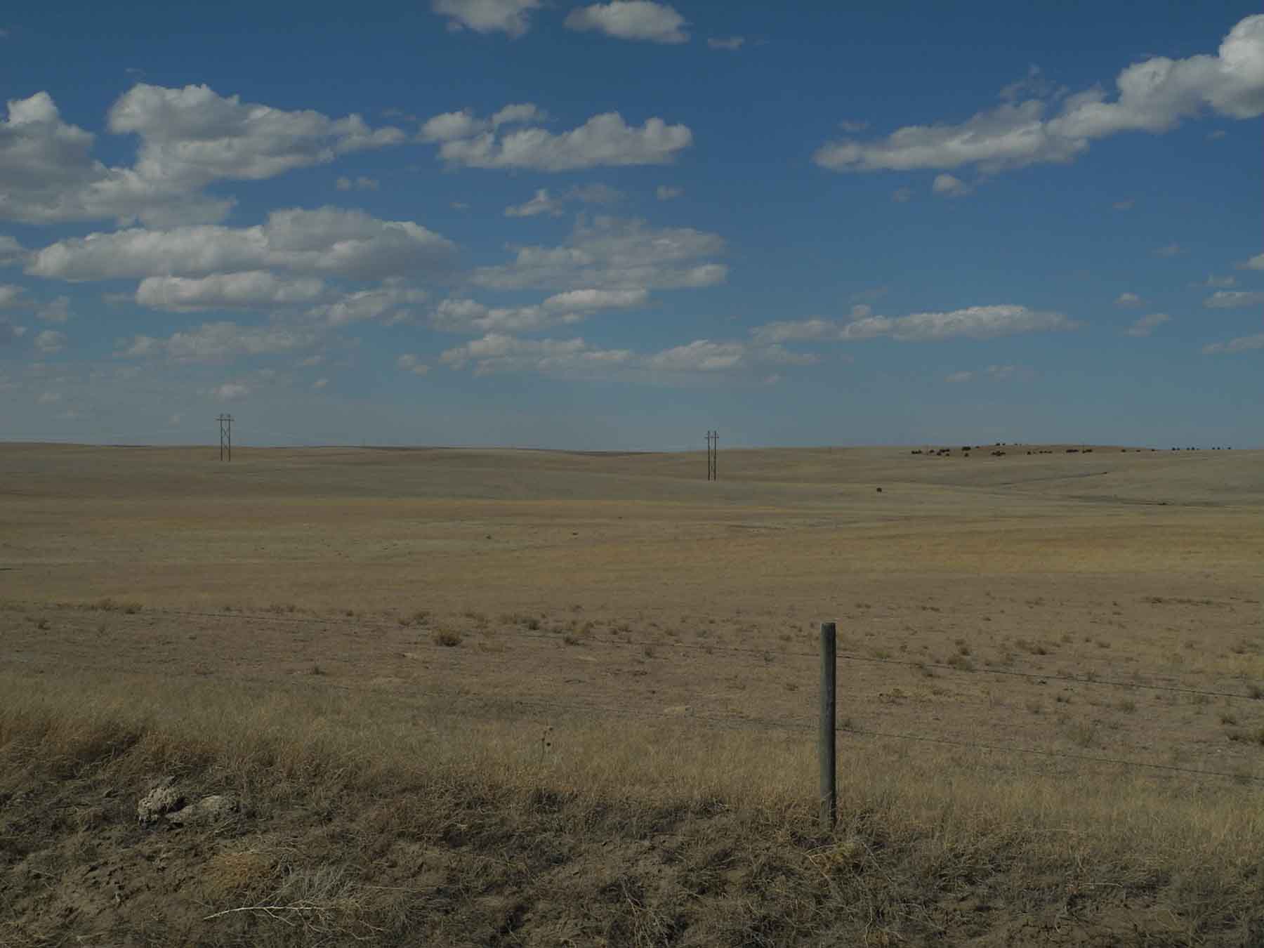 Eastern Colorado Farm & Ranch property picture 21 of 21