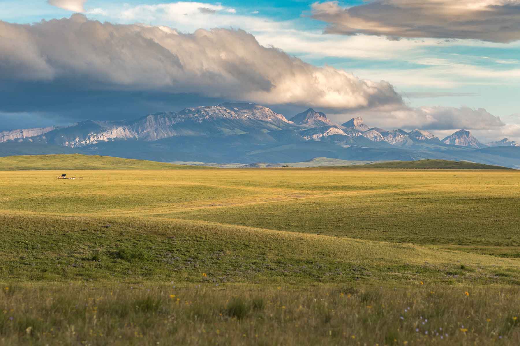 Deep Creek Cattle Company property picture 35 of 38