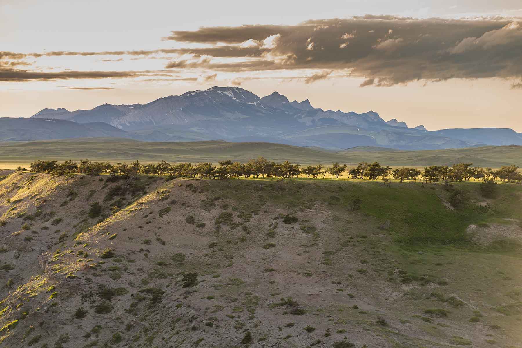 Deep Creek Cattle Company property picture 32 of 38