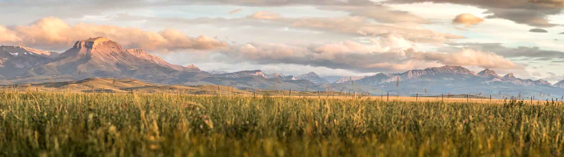 Deep Creek Cattle Company property picture 34 of 38