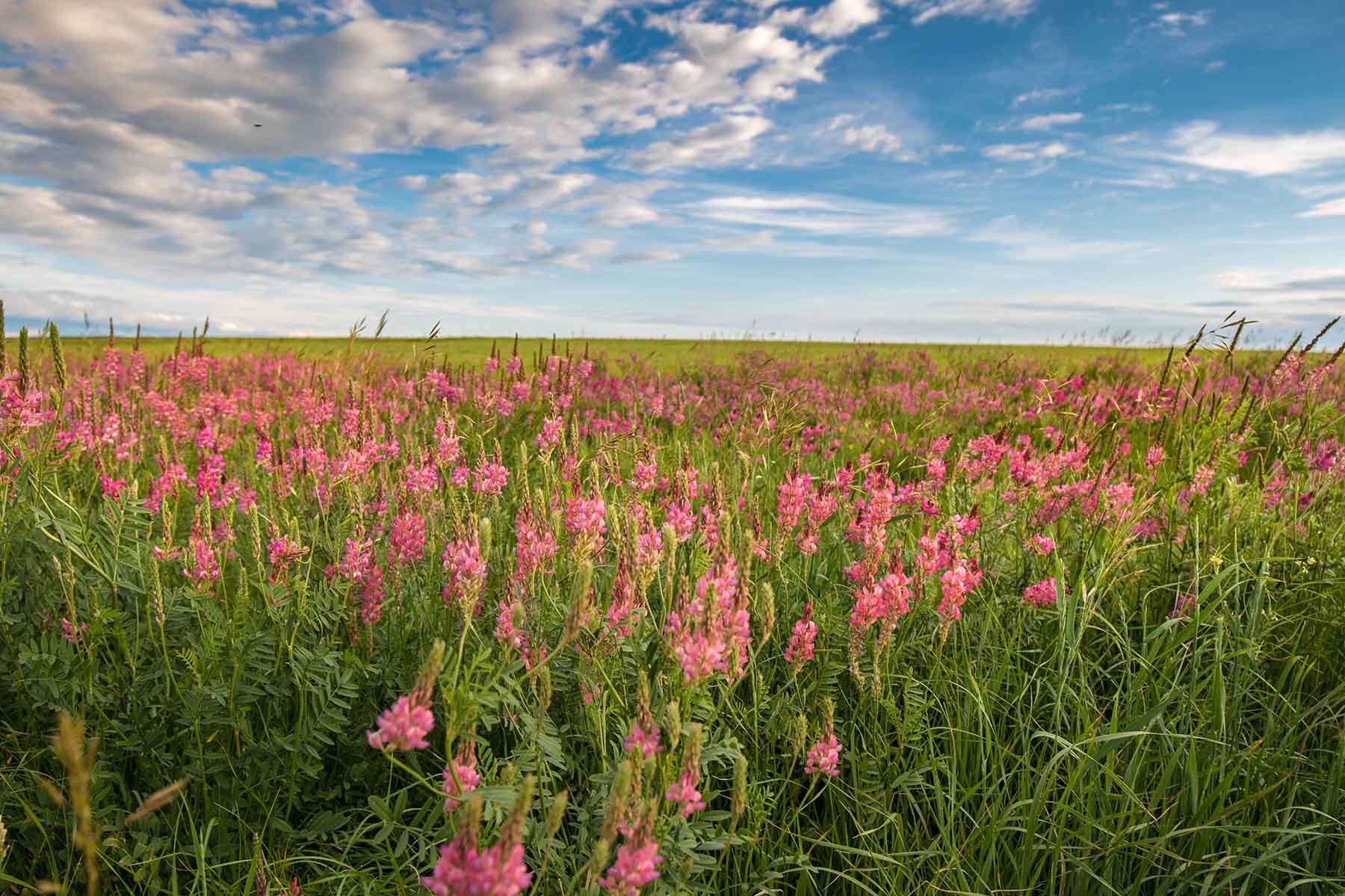 Deep Creek Cattle Company property picture 36 of 38