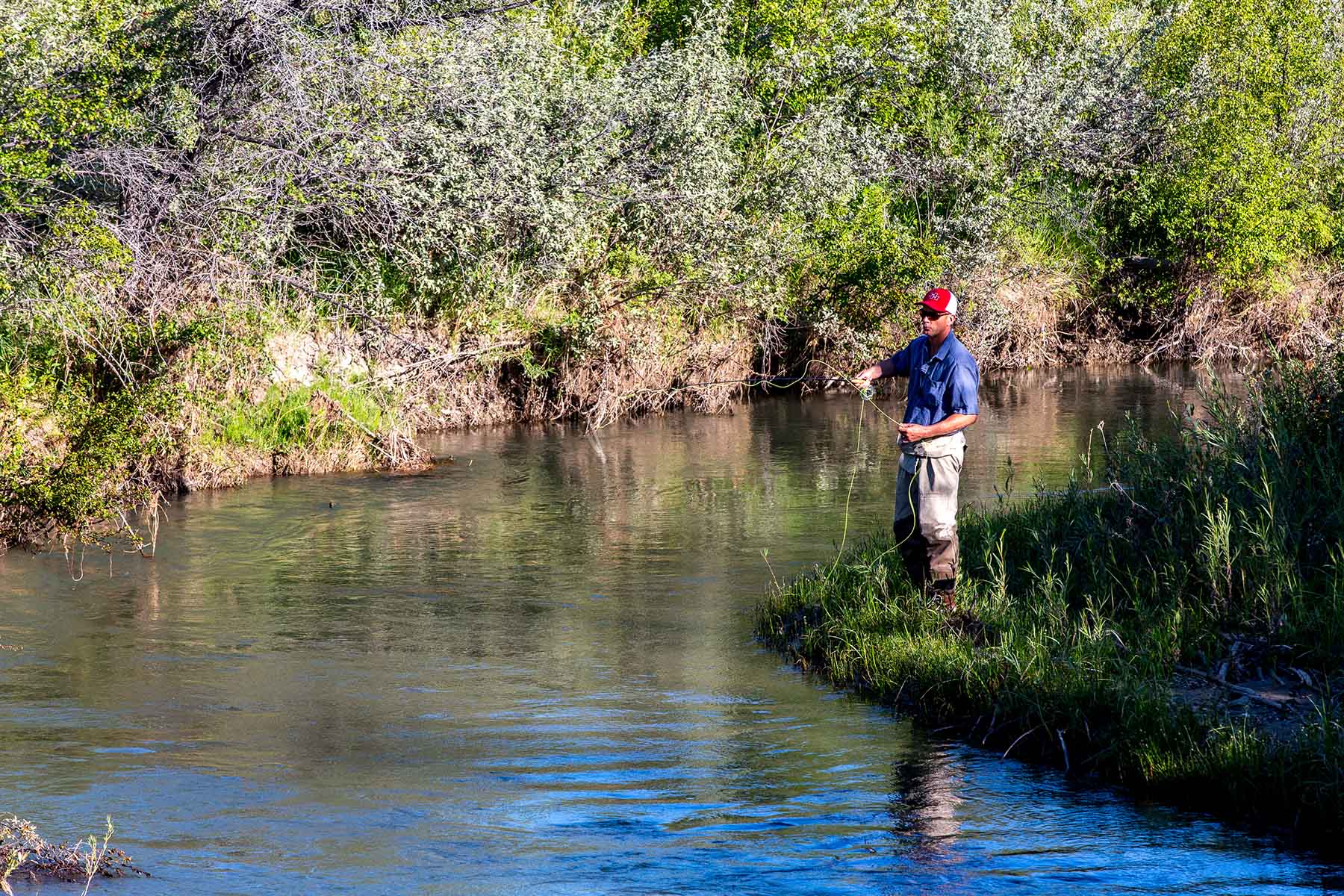 Deep Creek Cattle Company property picture 24 of 38