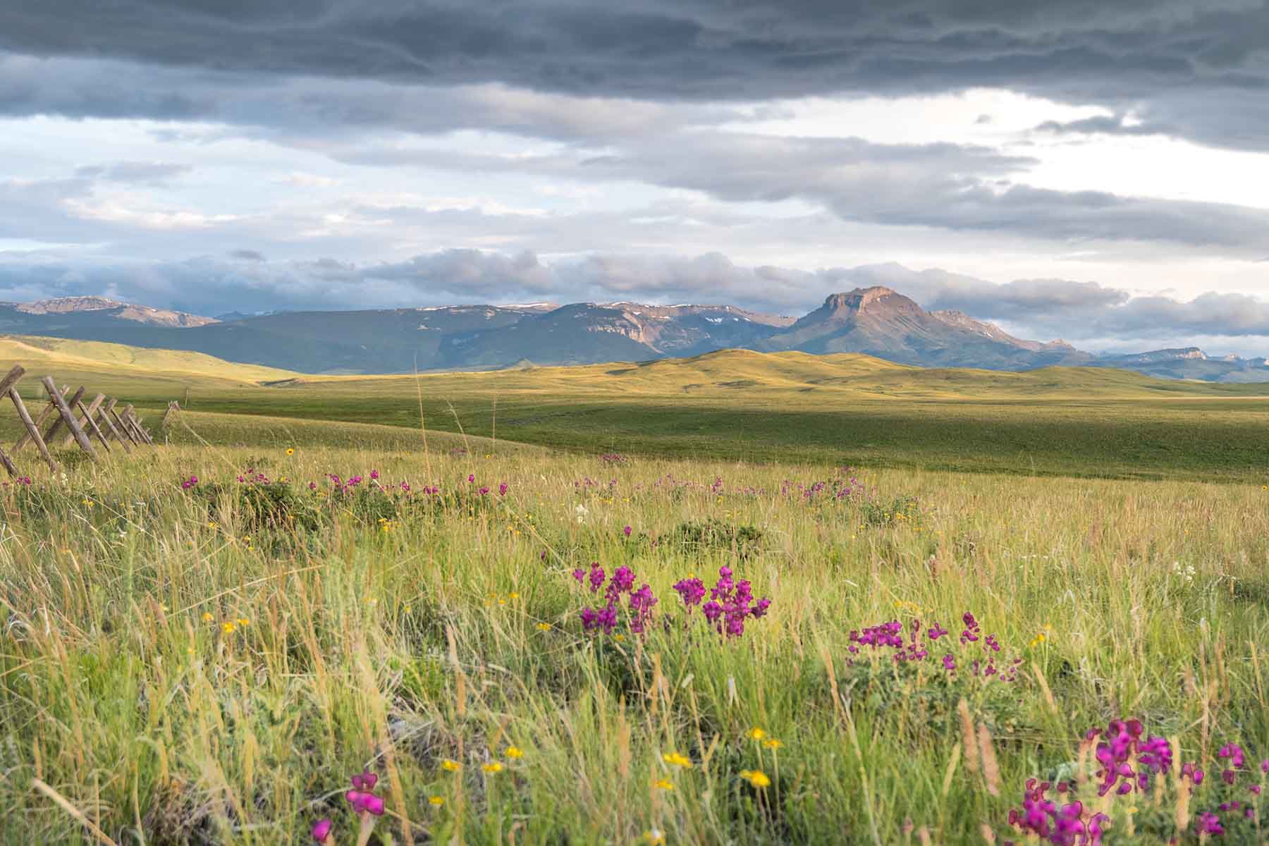 Deep Creek Cattle Company property picture 2 of 38